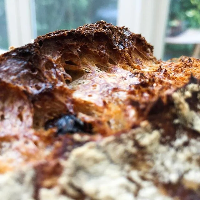 Nicely formed ear on this raisin, cranberry, cinnamon loaf. Perfect with a large helping of butter.