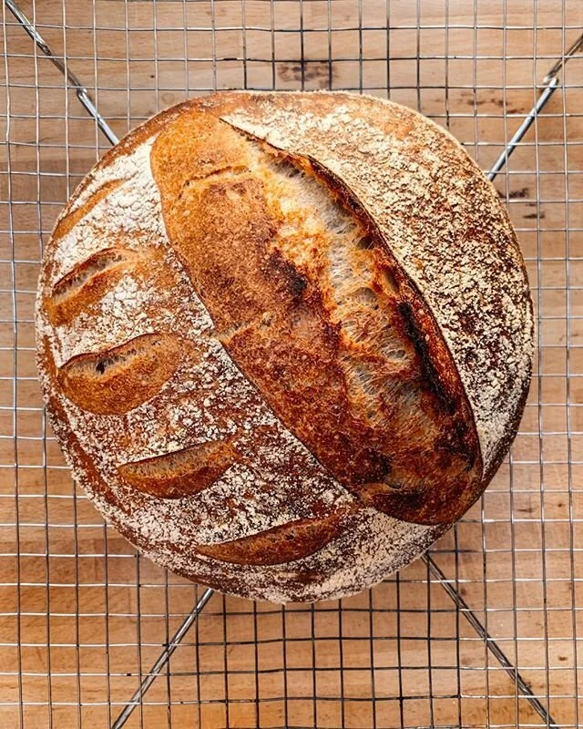 Back at it! While we&rsquo;ve got so much time to spare it makes sense to try and perfect these beauties.