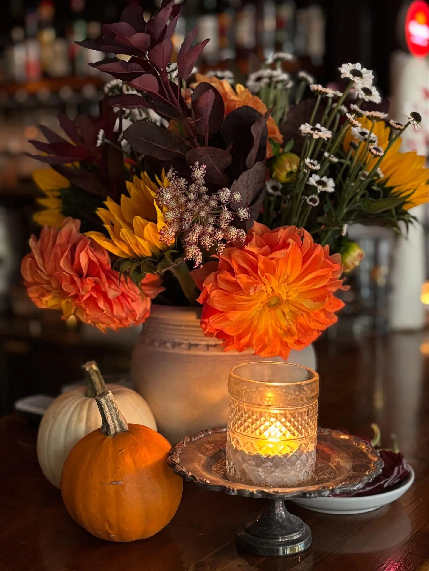 Fall Colours 🍂🍁🍃