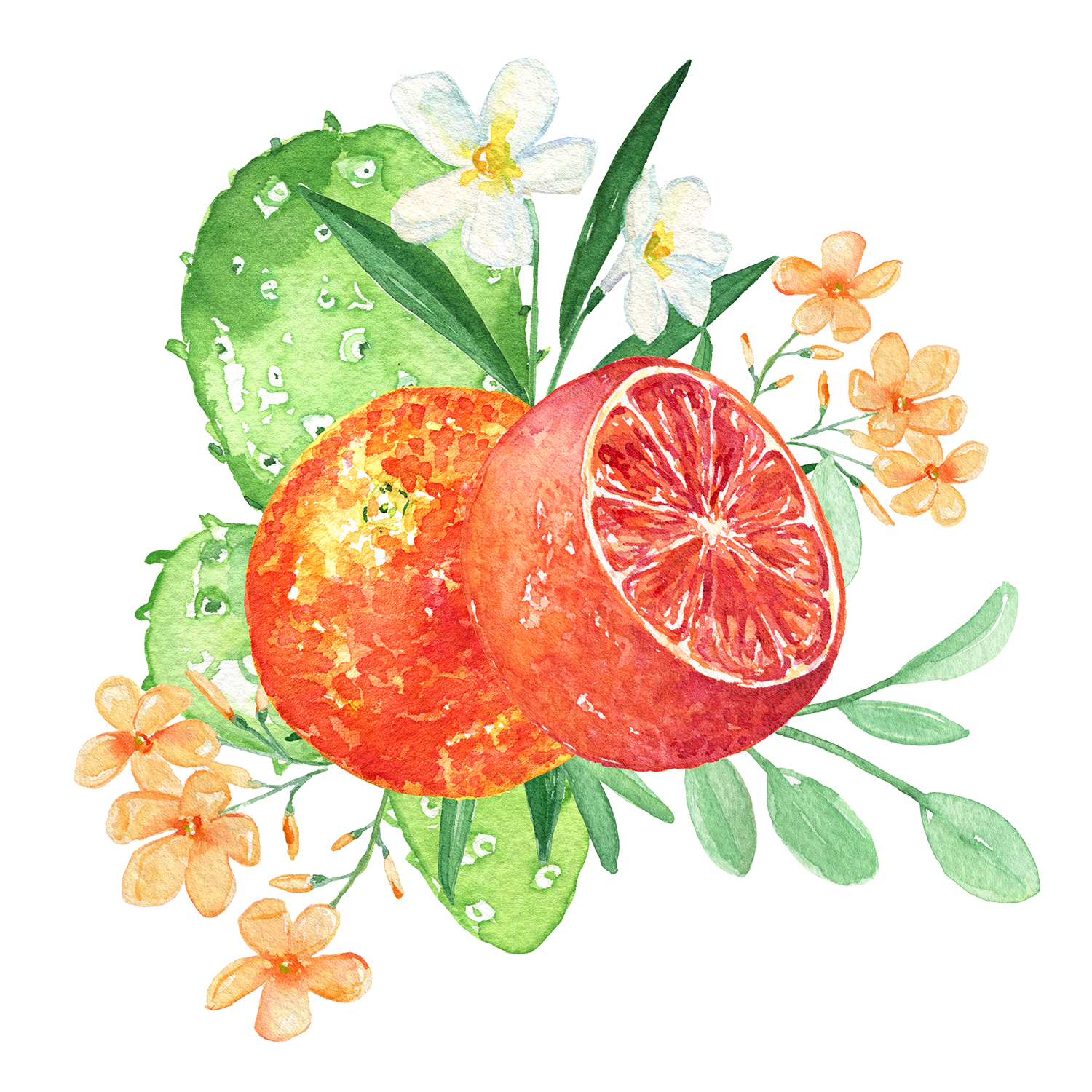 CAMPO_TAPAS AND PAELLA_FATHERS DAY.png