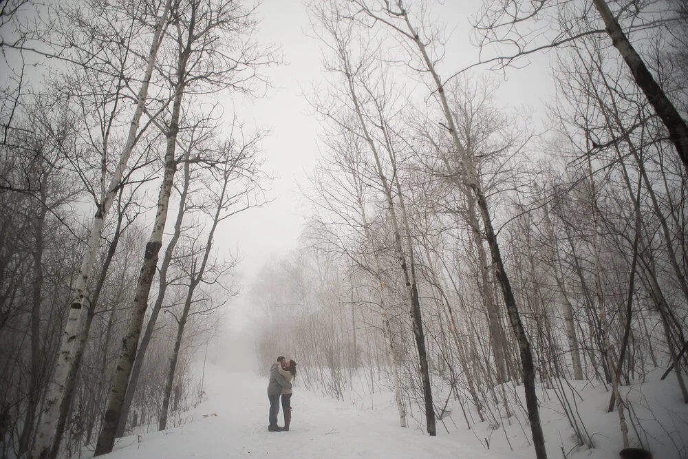 Ariel &amp; Brandon - Sudbury Engagement Photography