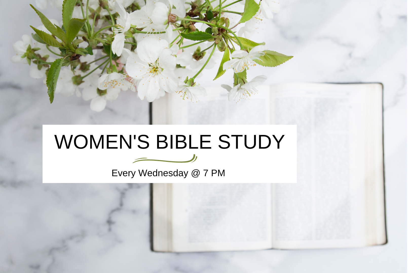 Women's Bible Study