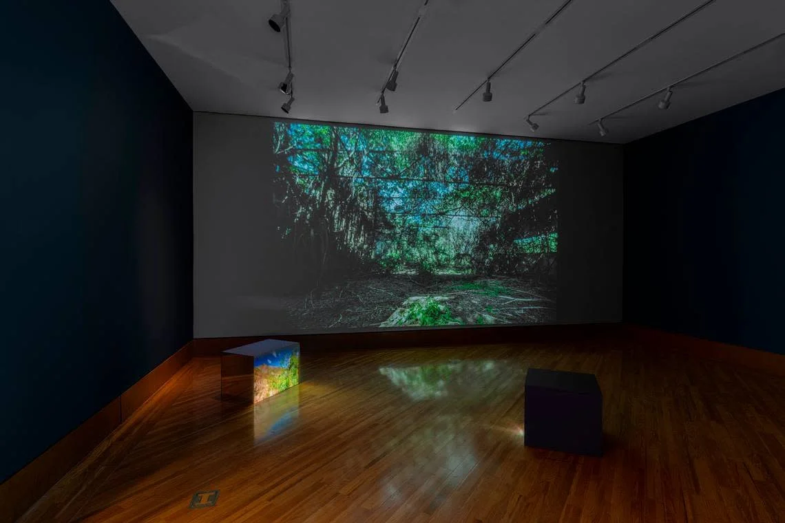 TLM Myritza Castillo.jpeg