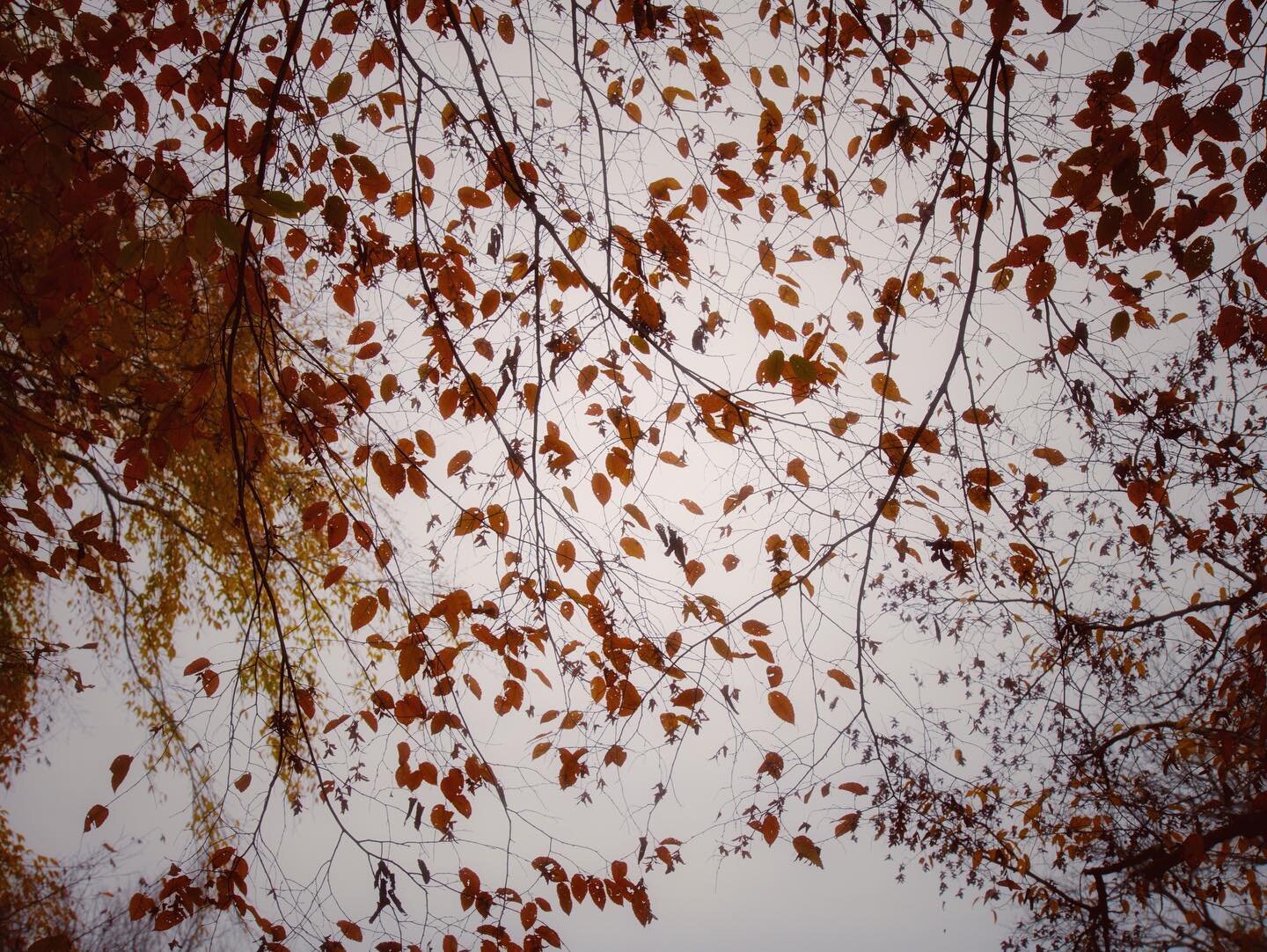 Oh Autumn. Gone but not forgotten. 😛