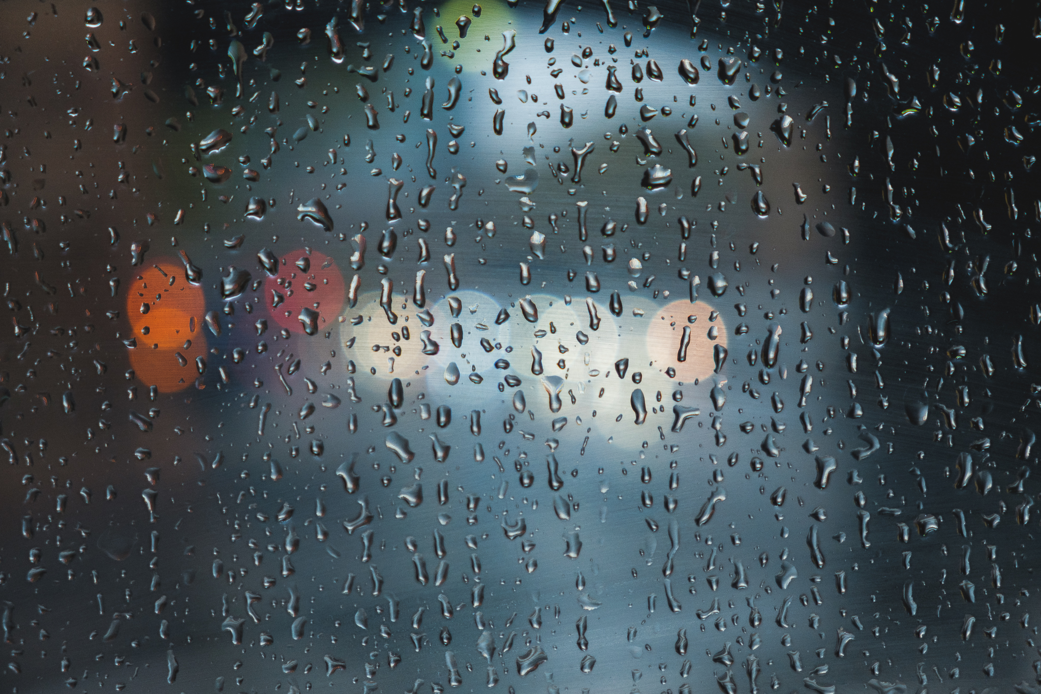Bus Windows 2.jpg