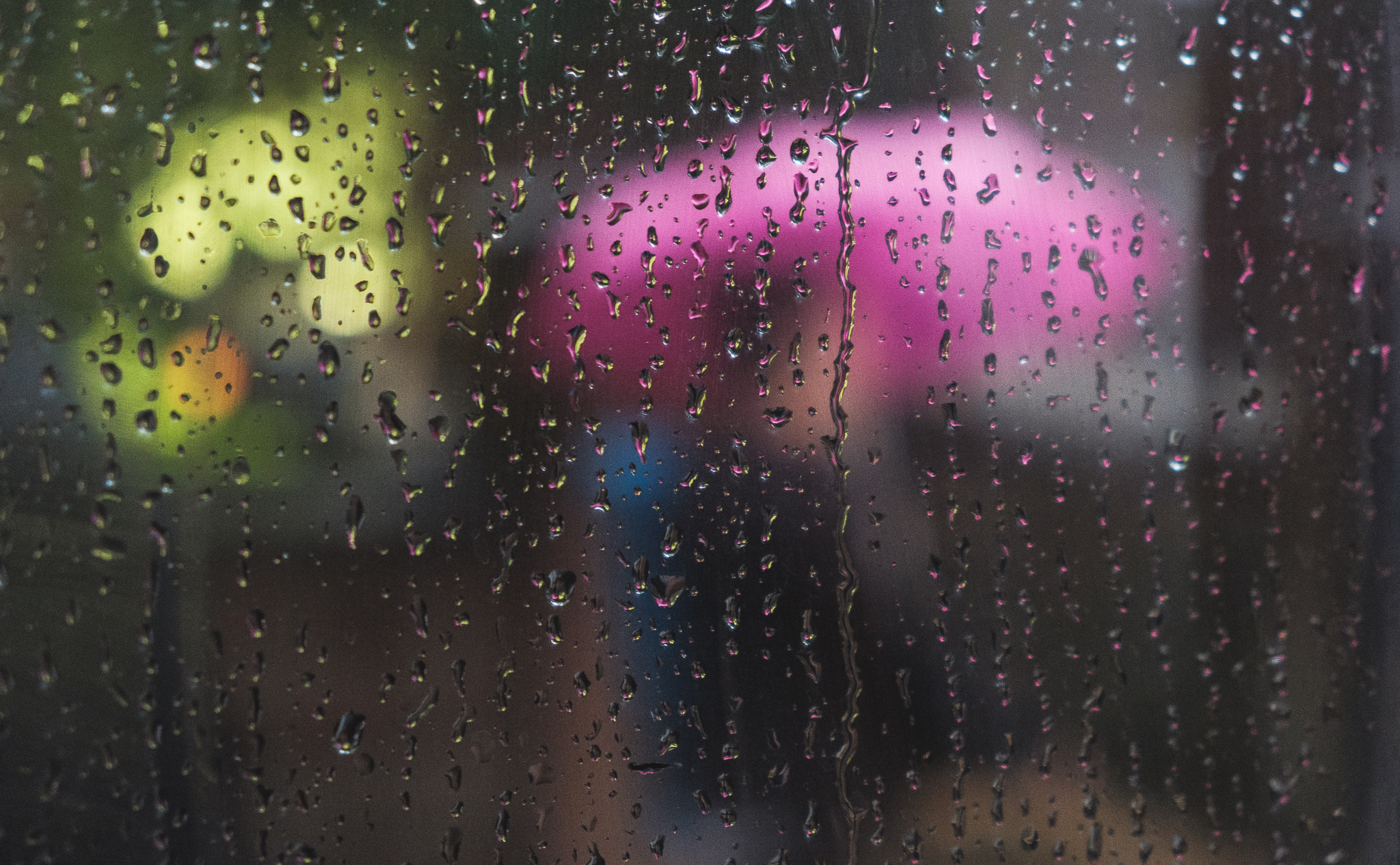 Bus Windows 4.jpg