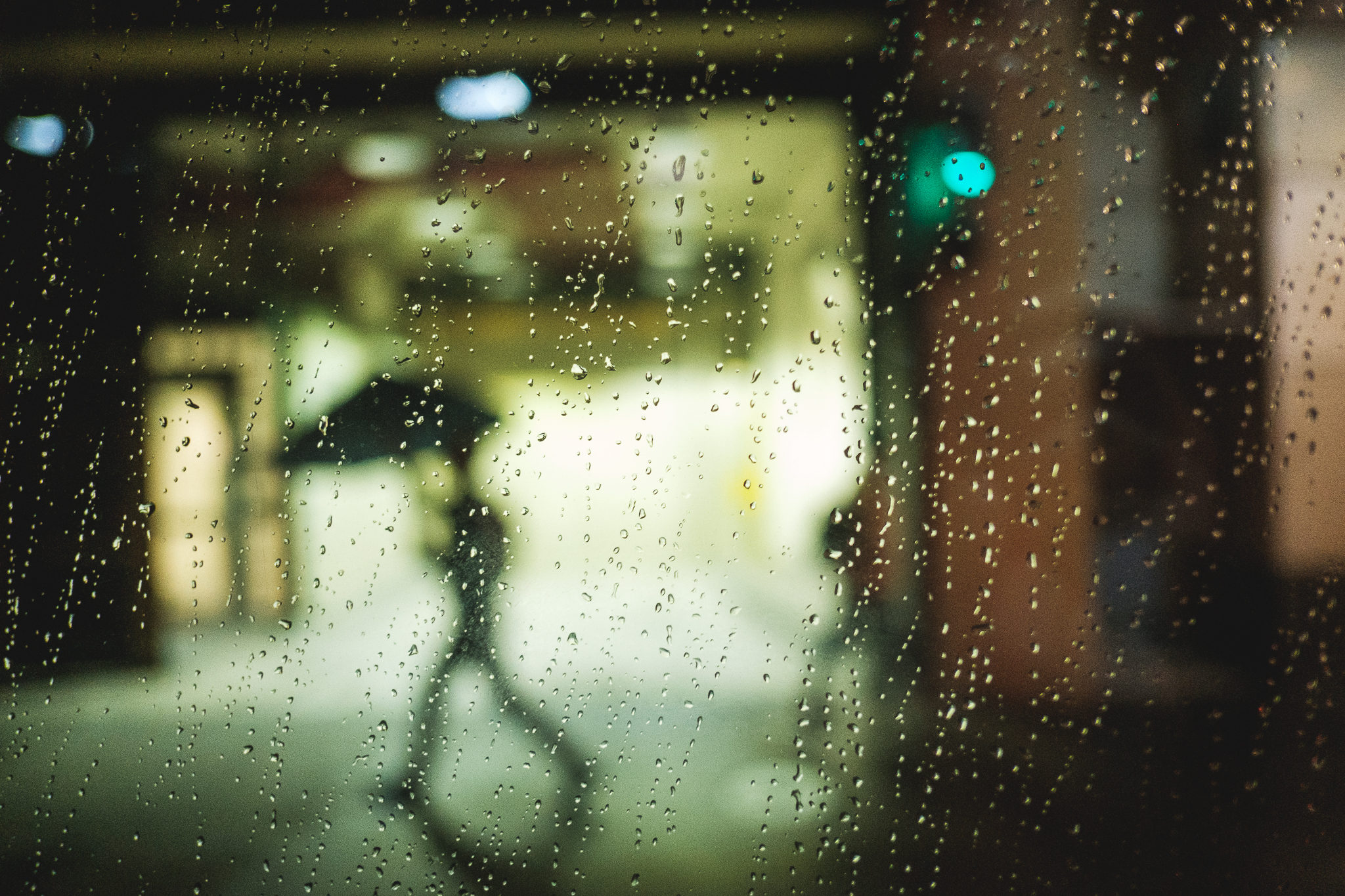 Bus Windows 8.jpg
