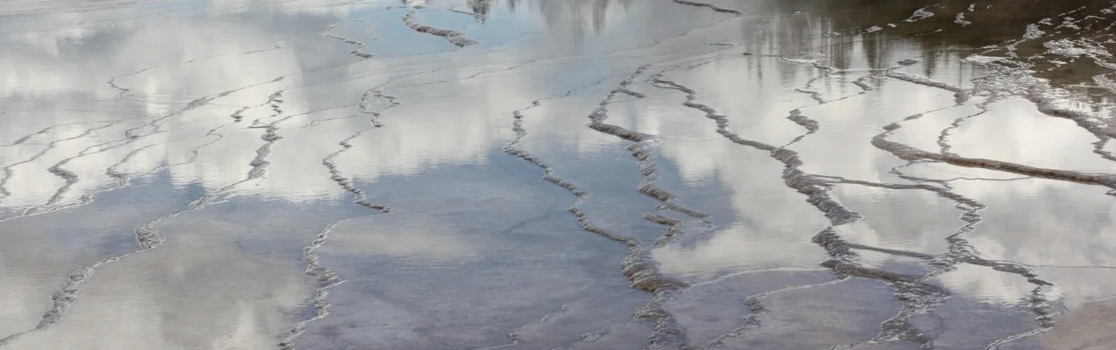 reflection.jpg