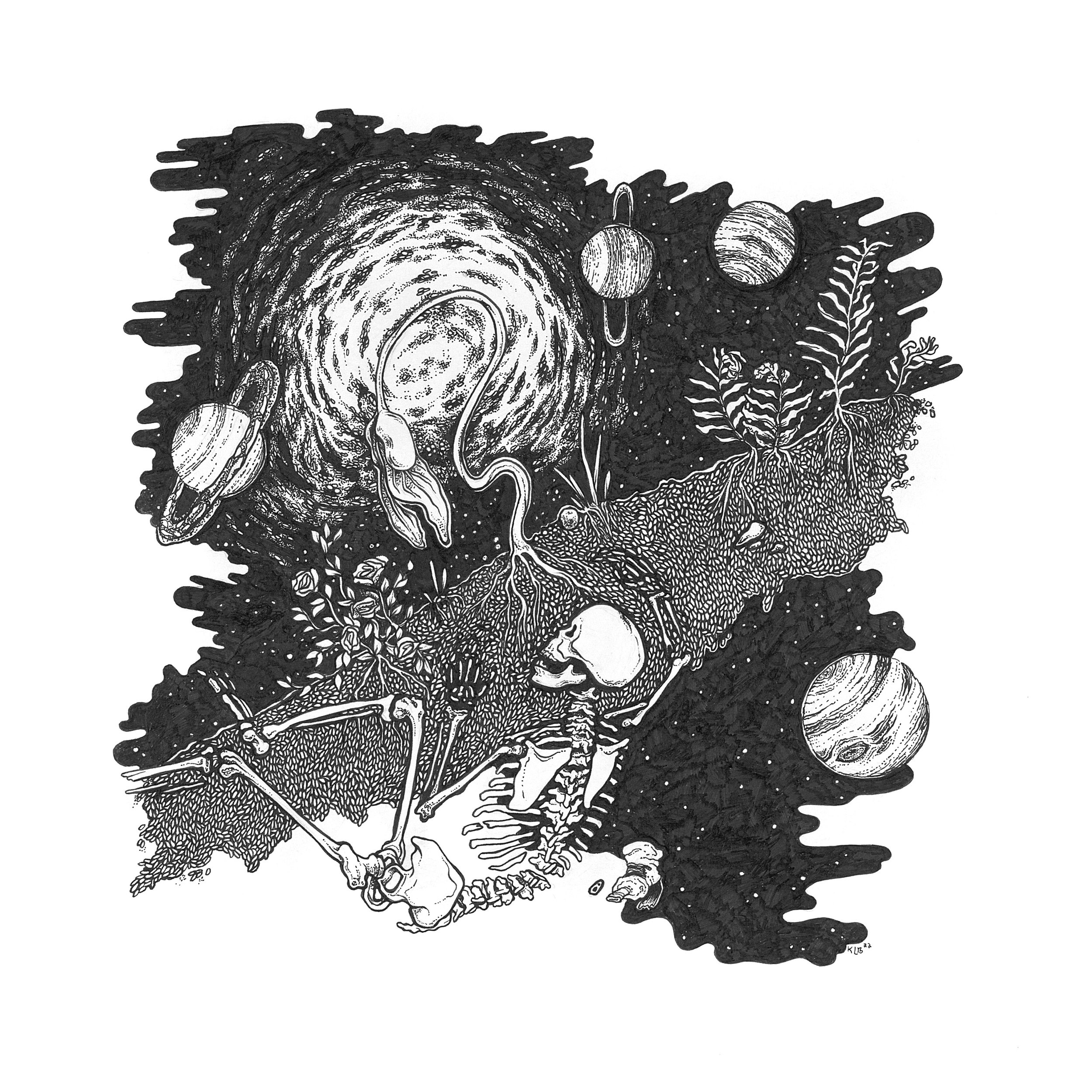 Website_Perennials.jpg