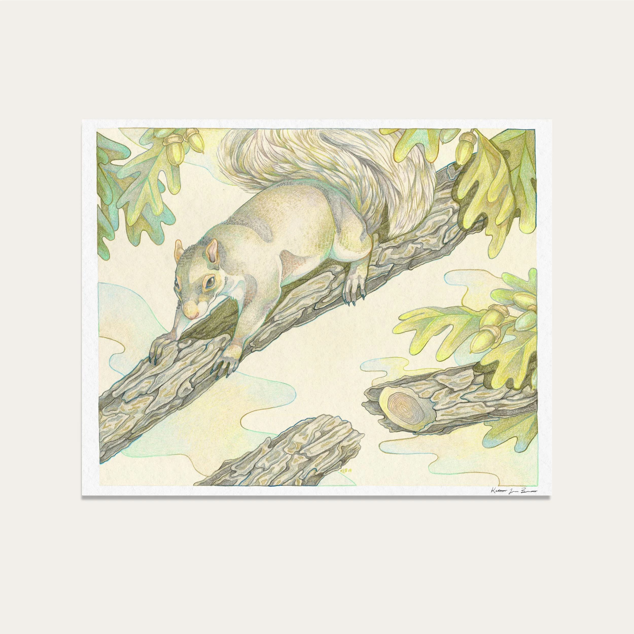 NorEaster_Giclee_Fine_Art_Print_Squirrel.jpg