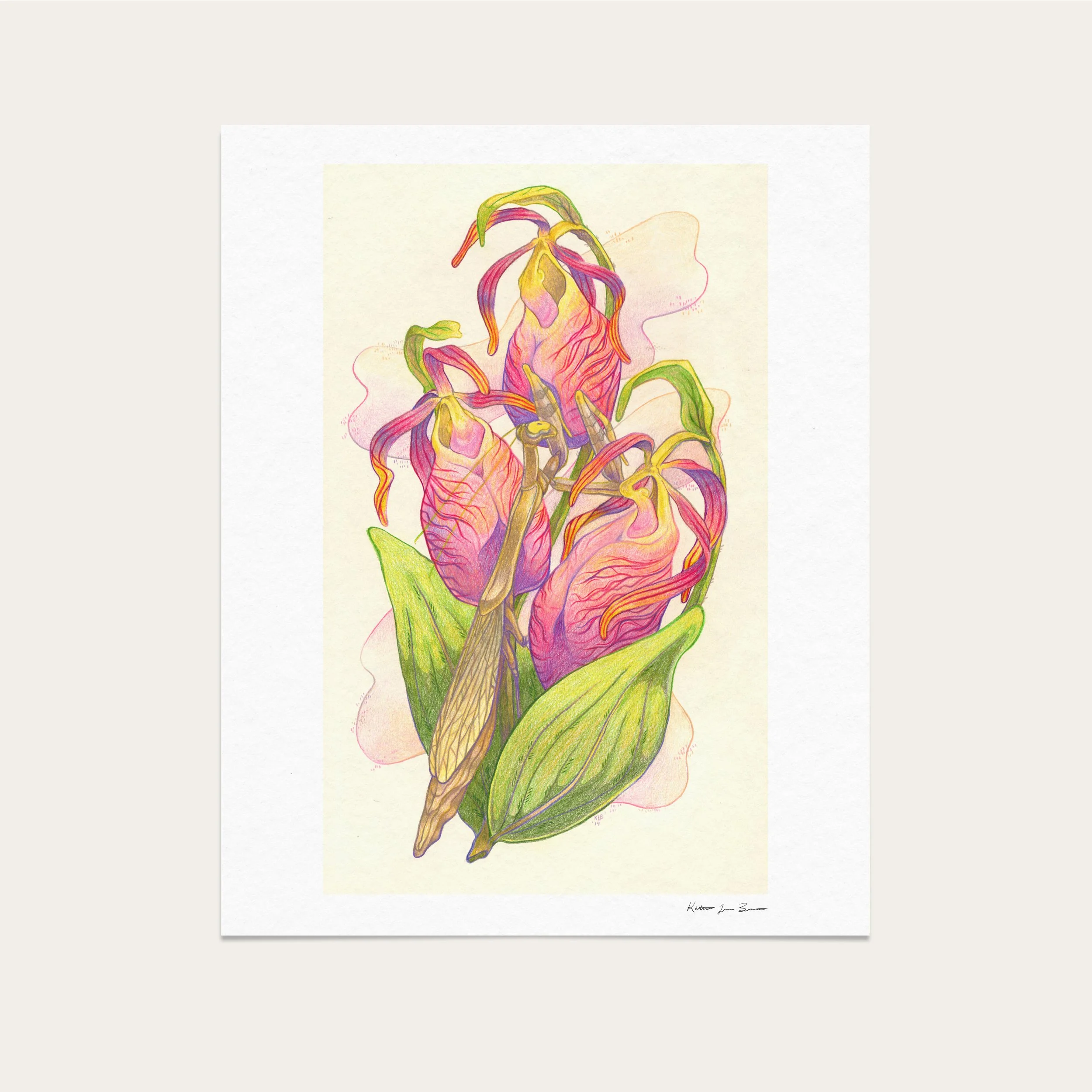 NorEaster_Giclee_Fine_Art_Print_Mantis.jpg
