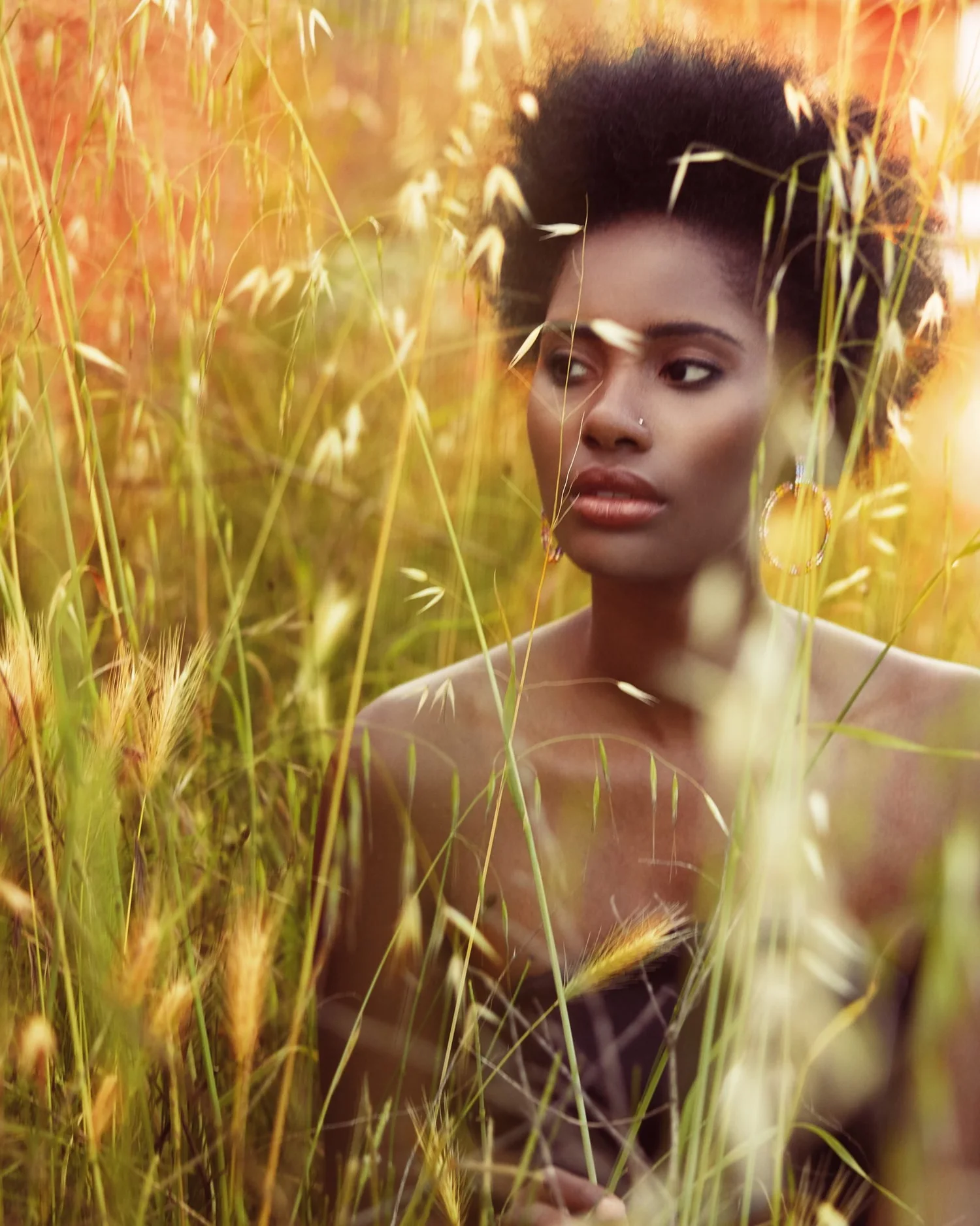 Textured natural hair editorial in golden grass