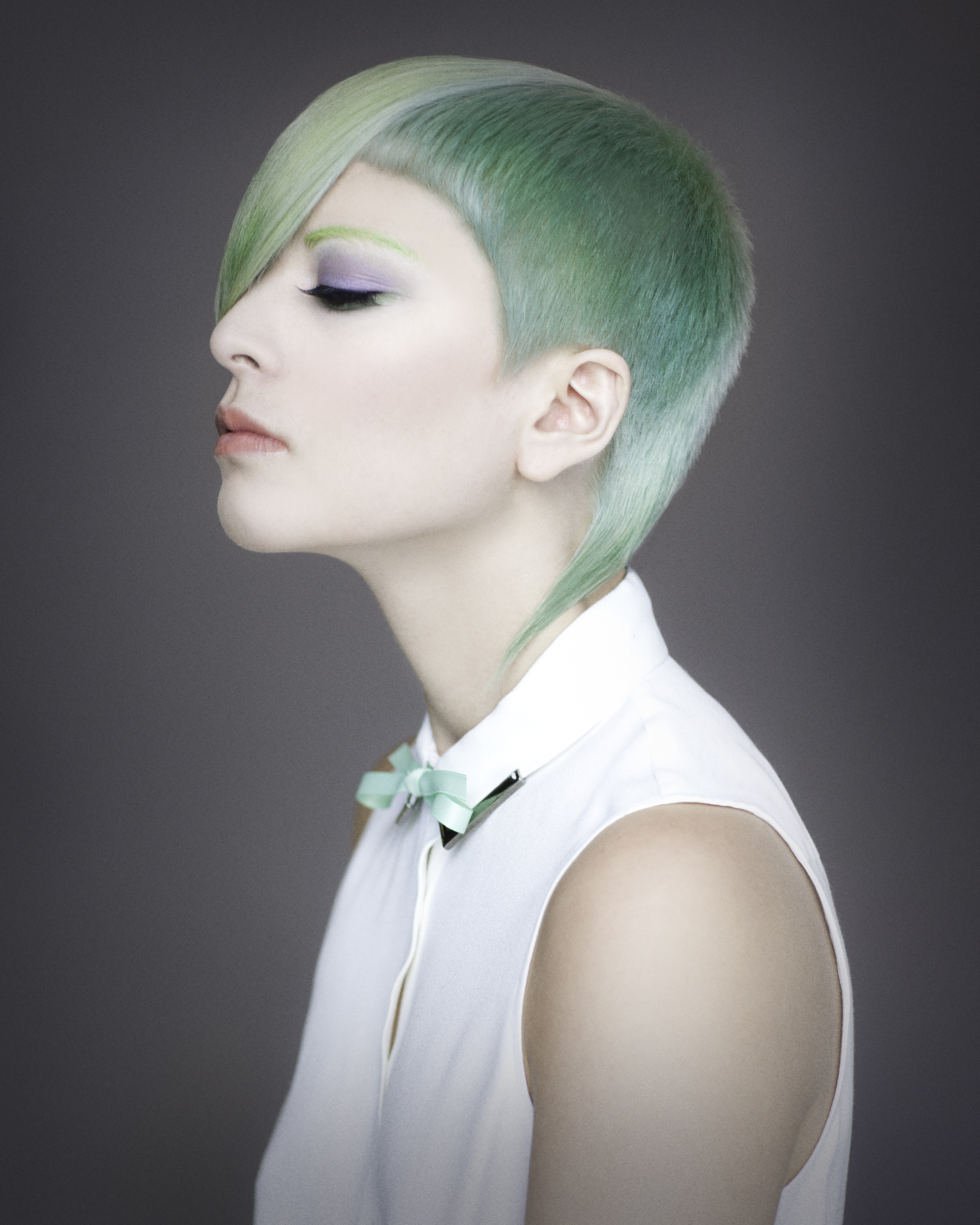NAHA hair color 2013