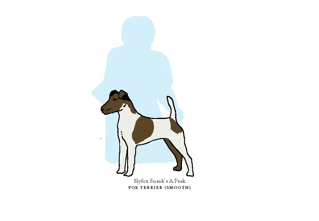 bestinshow6.jpg