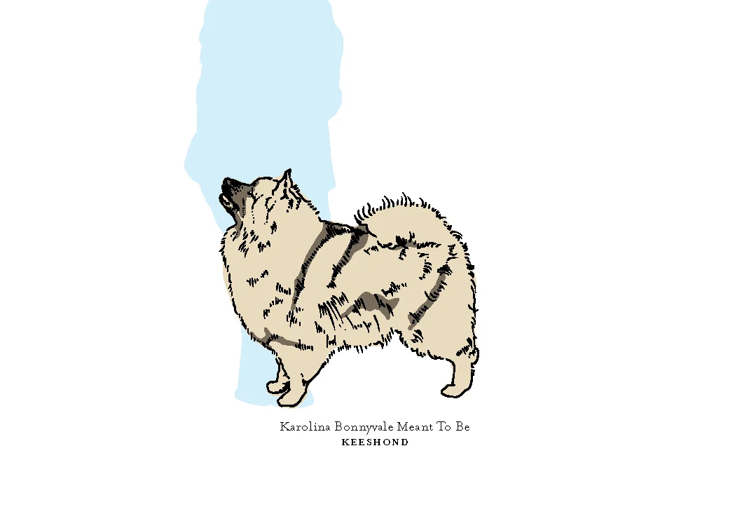 bestinshow5.jpg