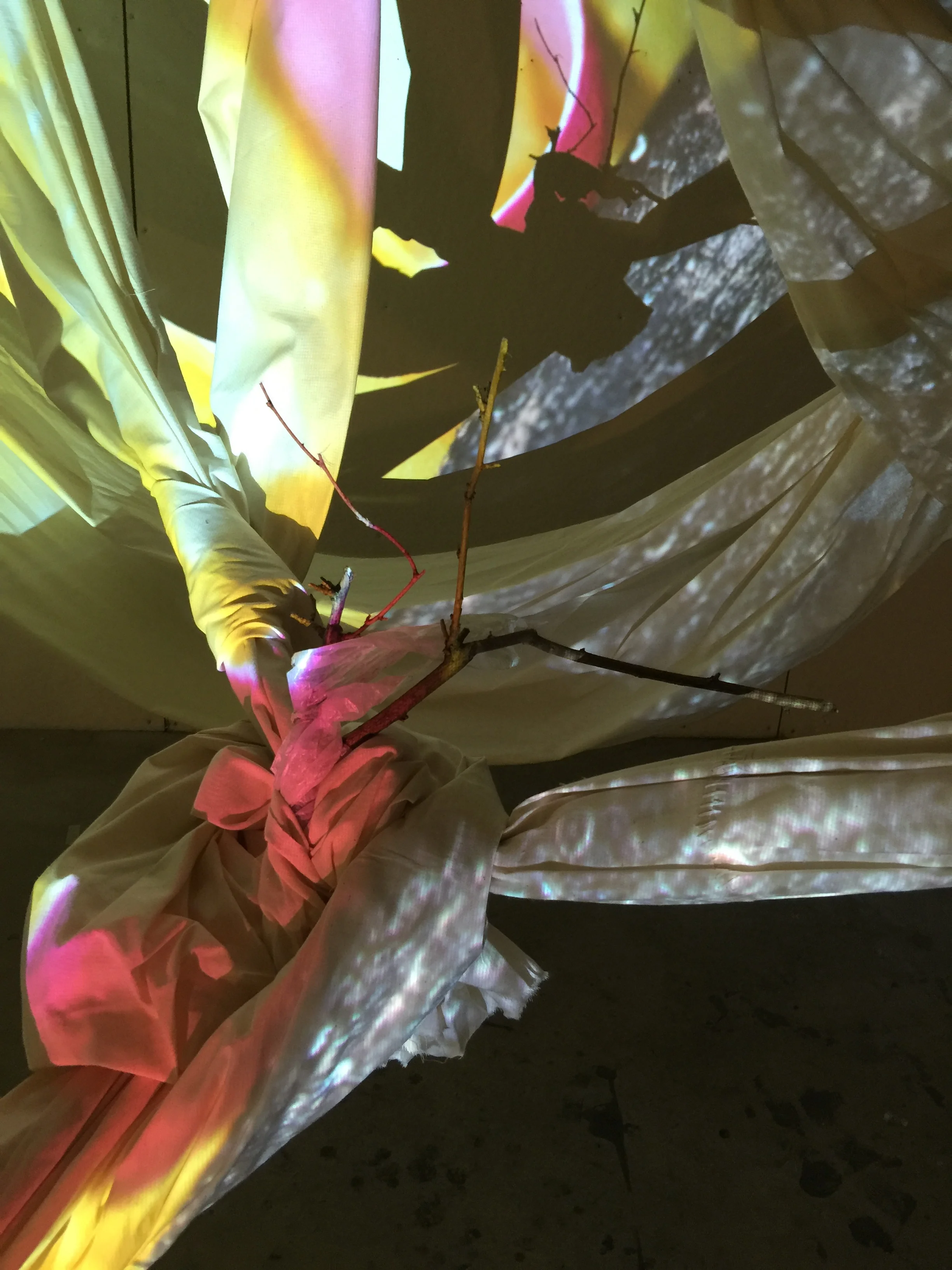  2016, installation of muslin, found objects and projected digital image, 10'&nbsp;x 12' 