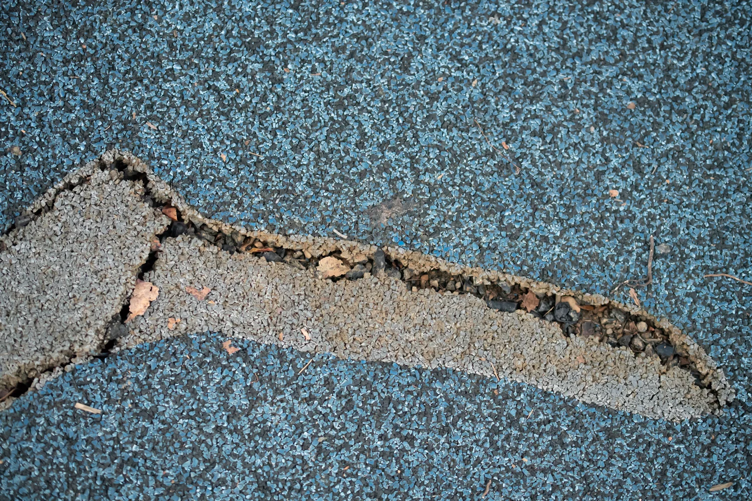Jaw, on view at Capital One Gallery, Ongoing