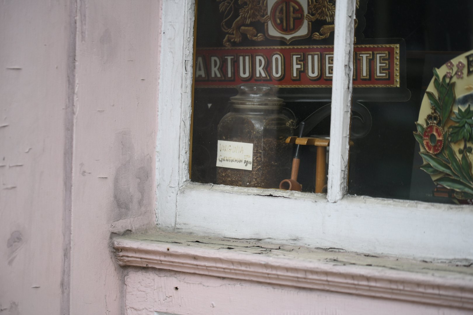 _DSC3946.jpeg