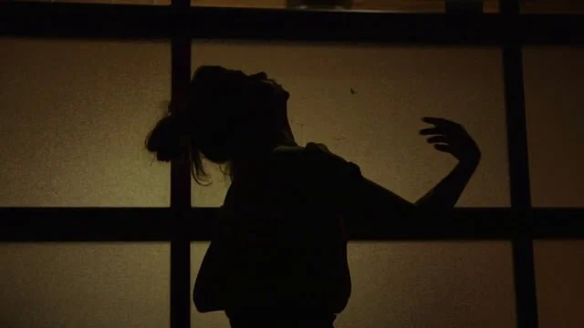 Alice Gosti - ArtZone Segment