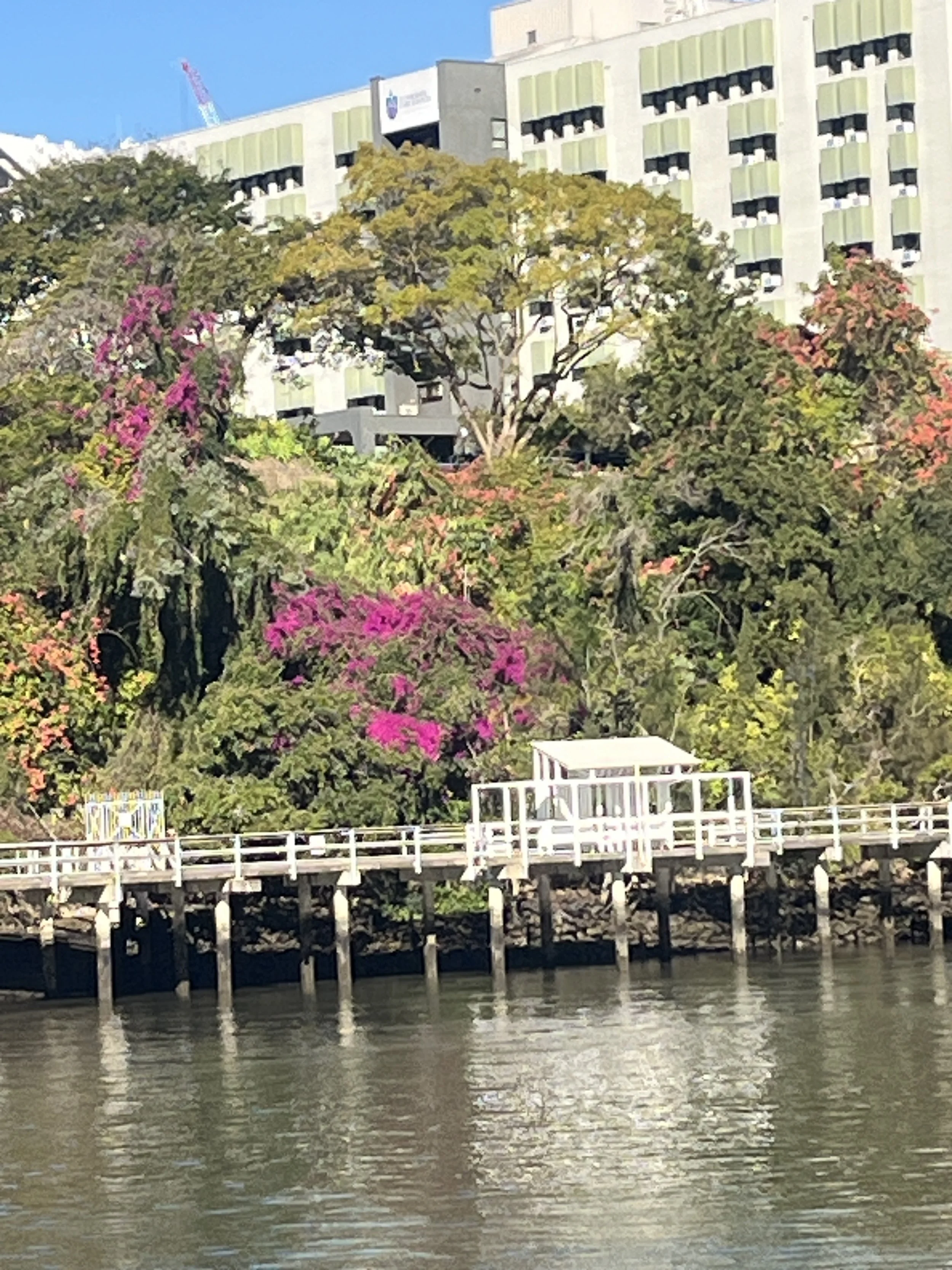 IMG_0752.jpeg
