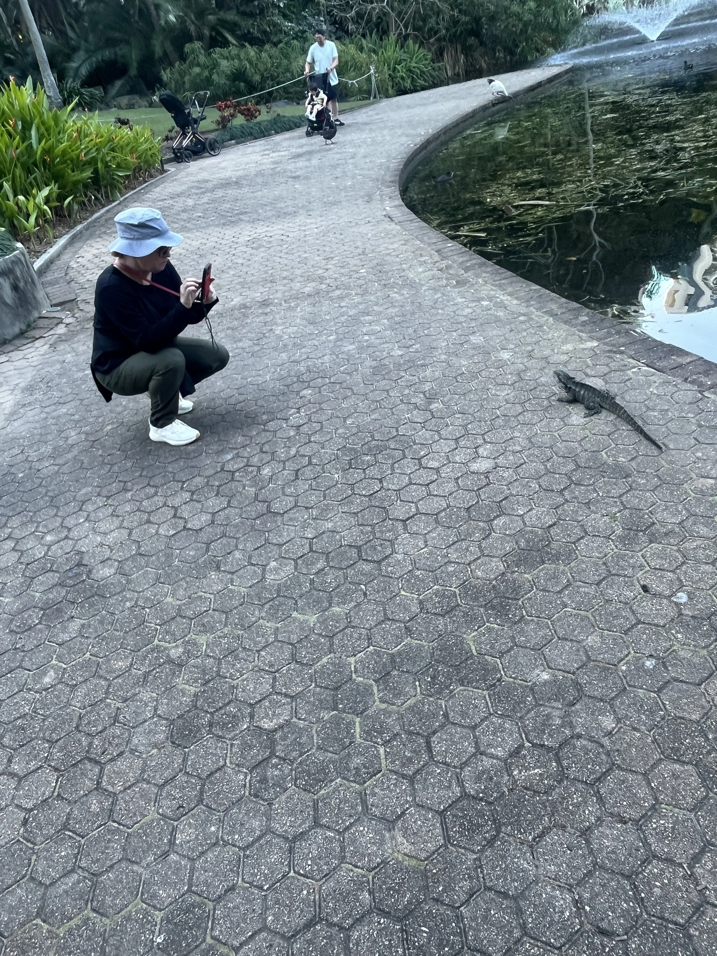 IMG_0781.jpeg