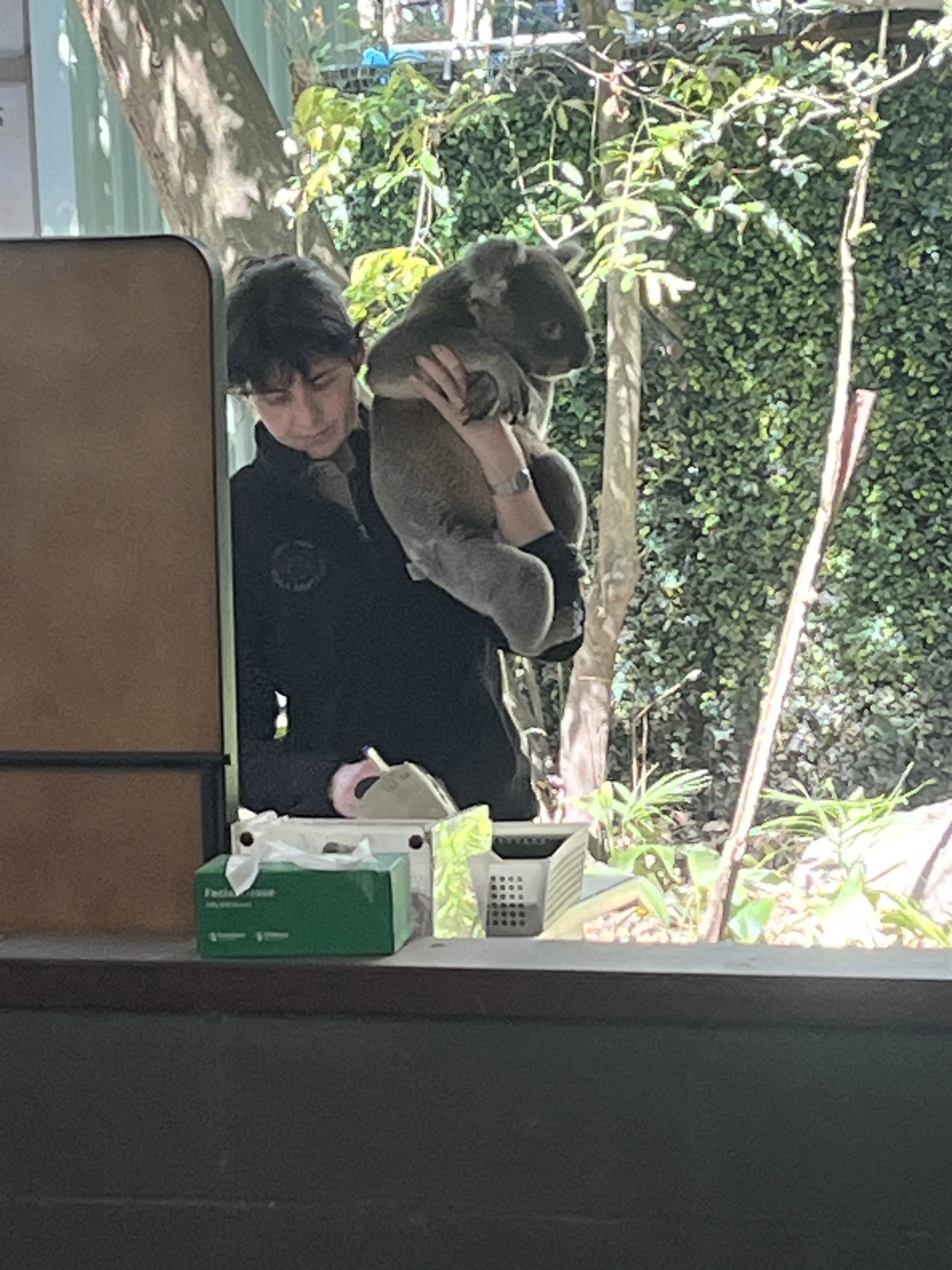 IMG_0815.jpeg