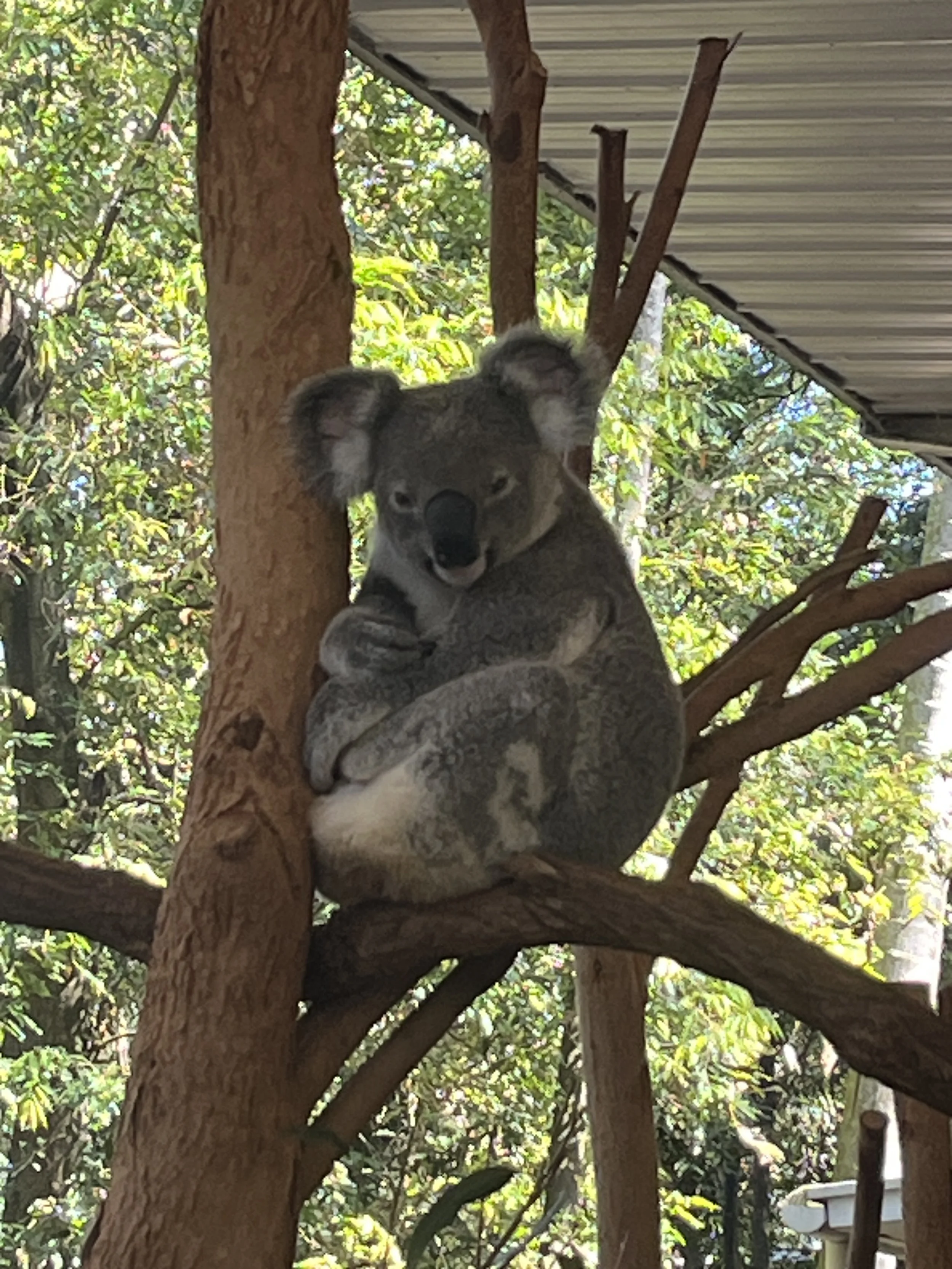 IMG_0823.jpeg