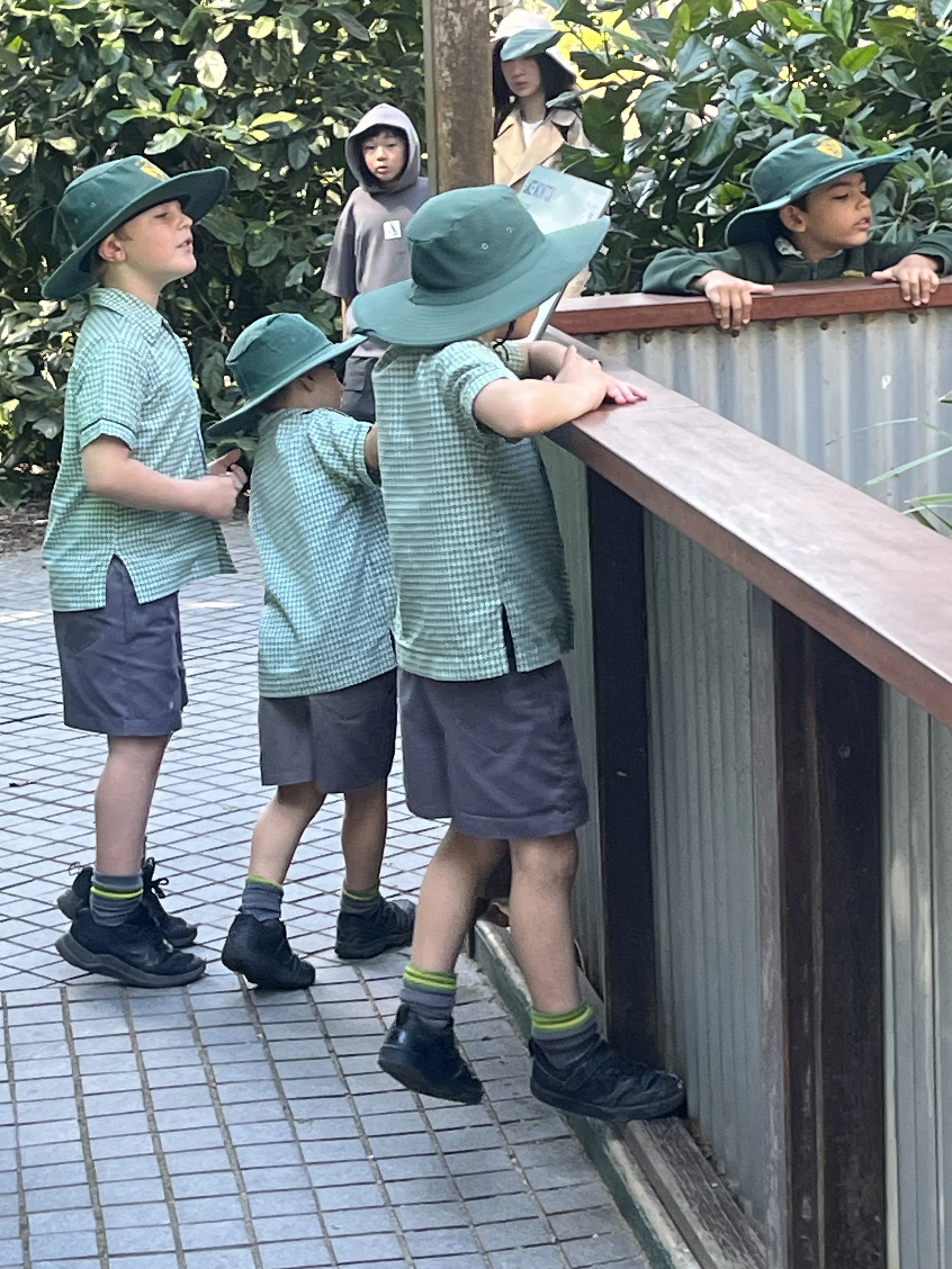 IMG_0826.jpeg