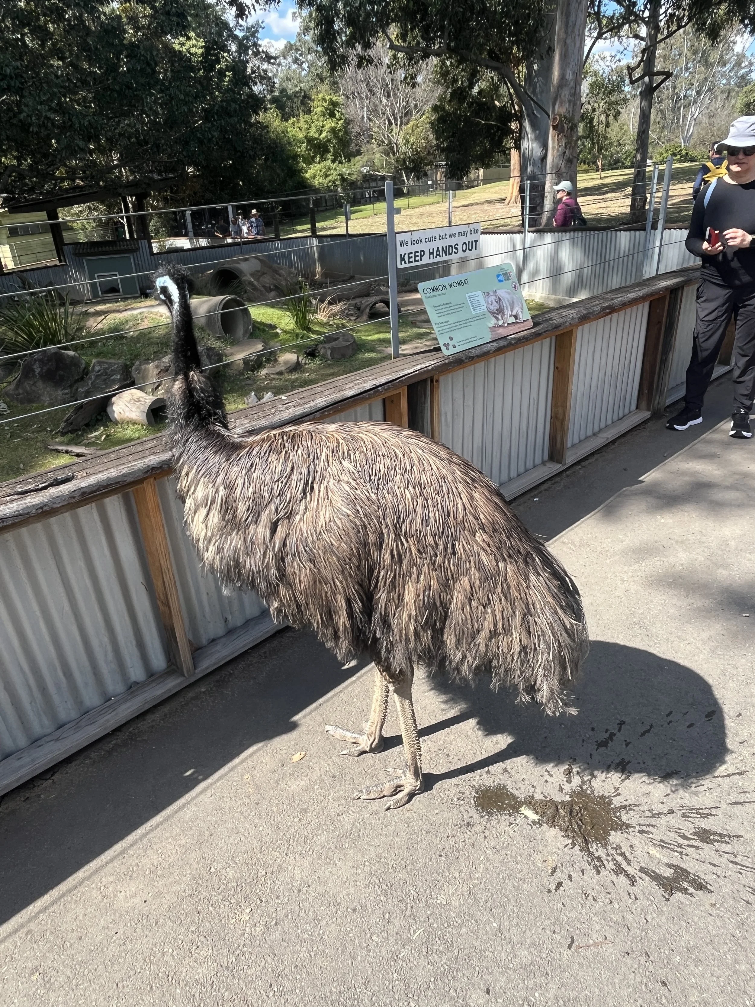 IMG_0865.jpeg