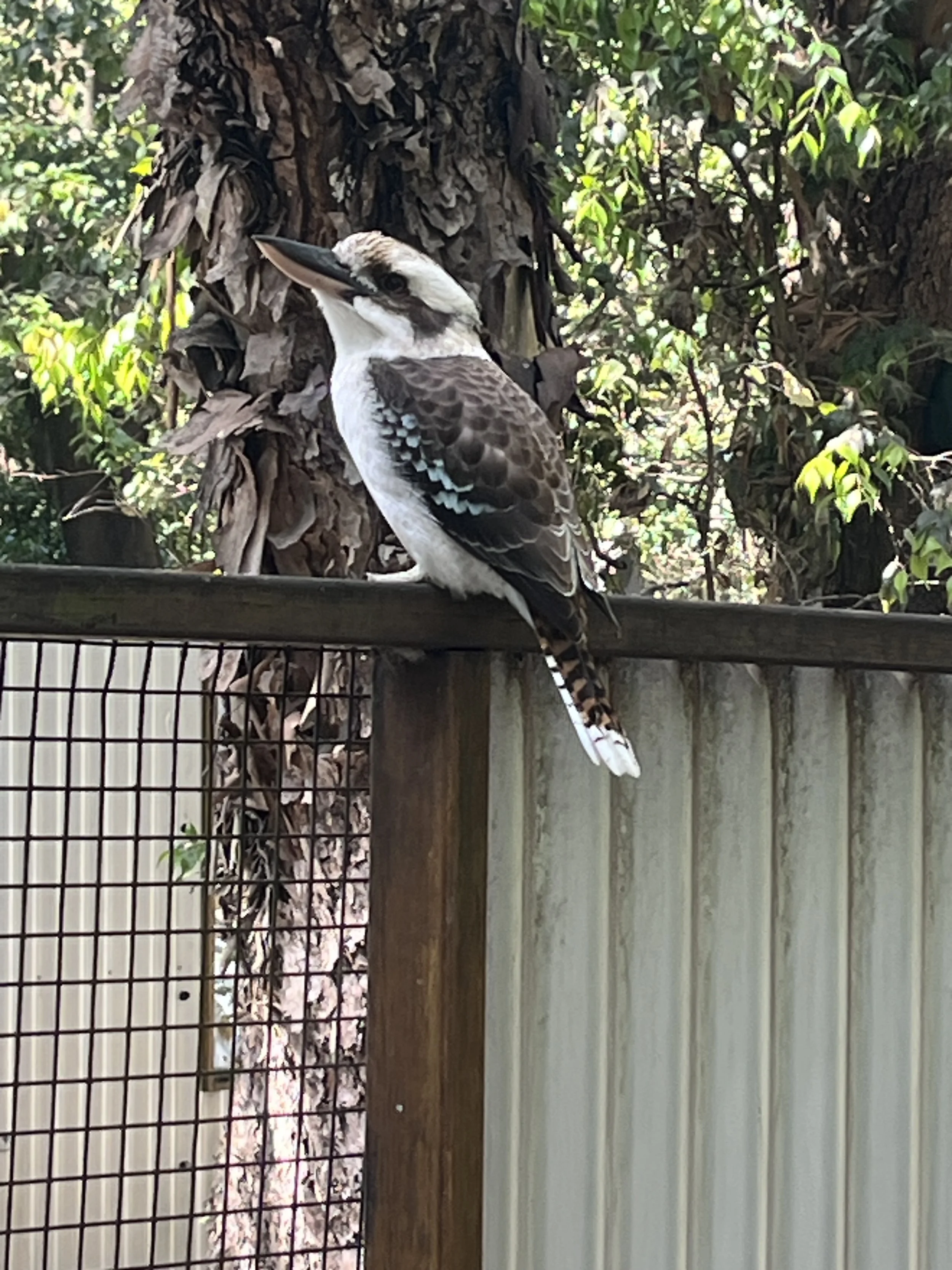 IMG_0874.jpeg