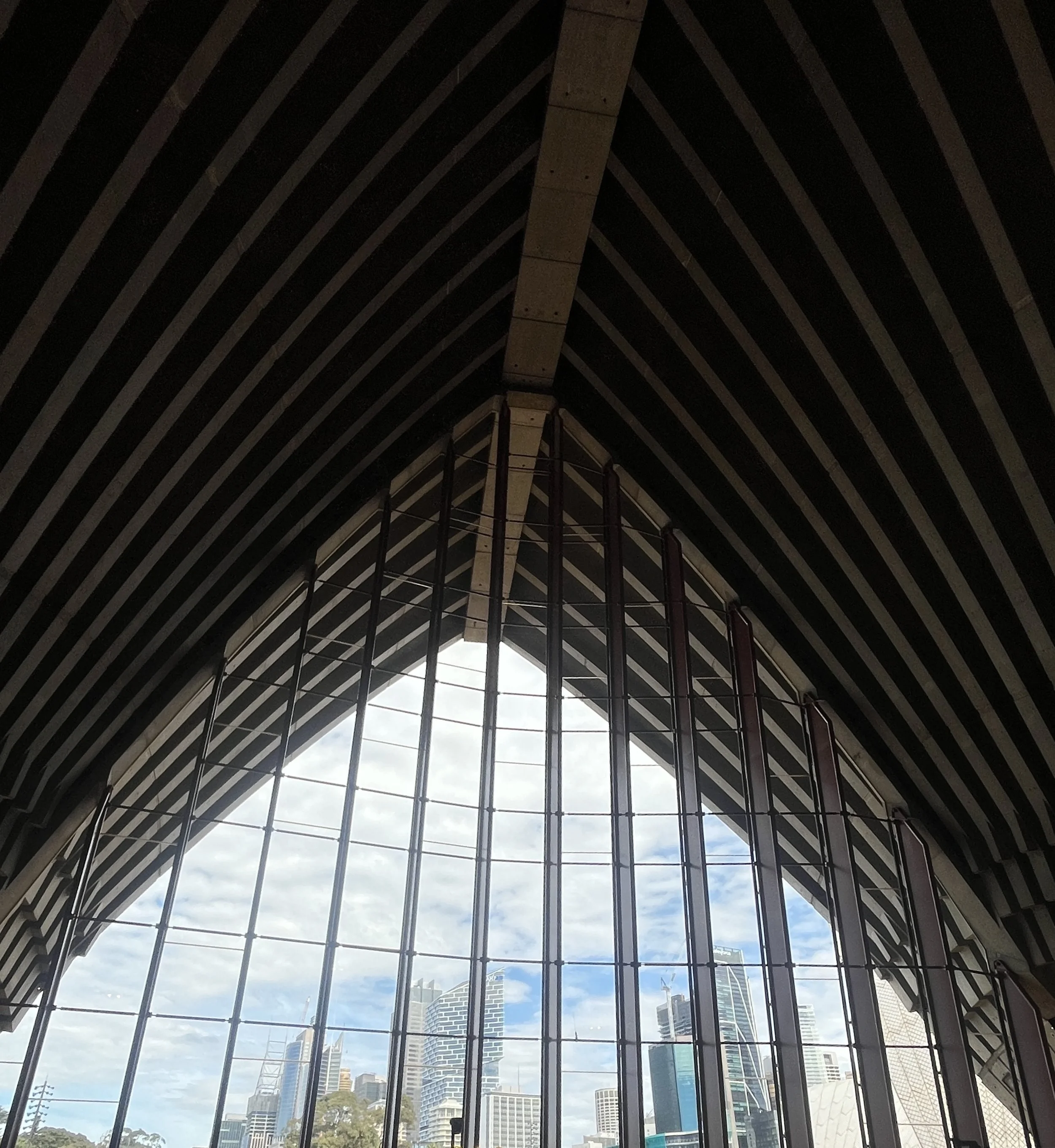 IMG_1148.jpeg