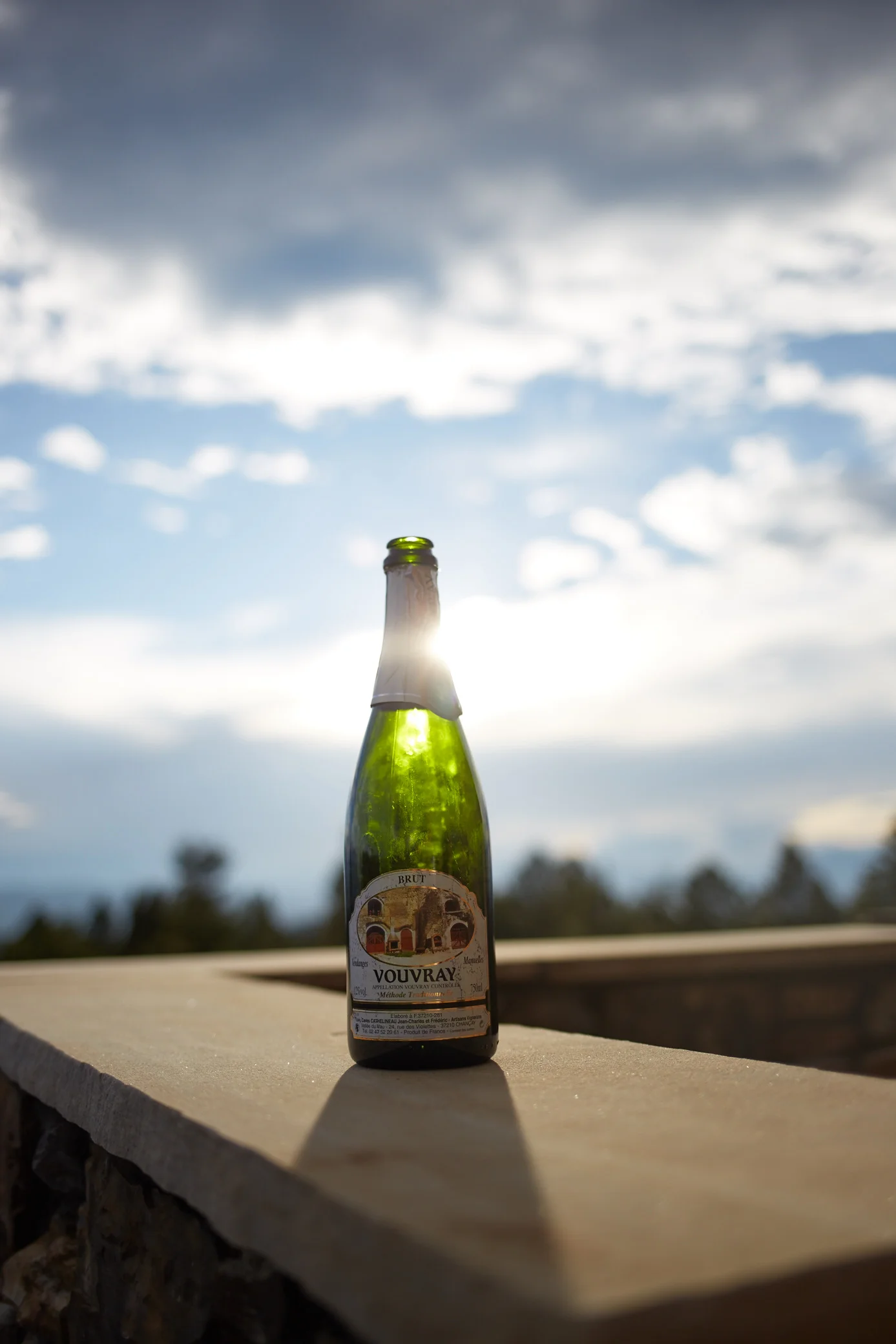 Colorado Cabin 2015 Summer 488.jpg