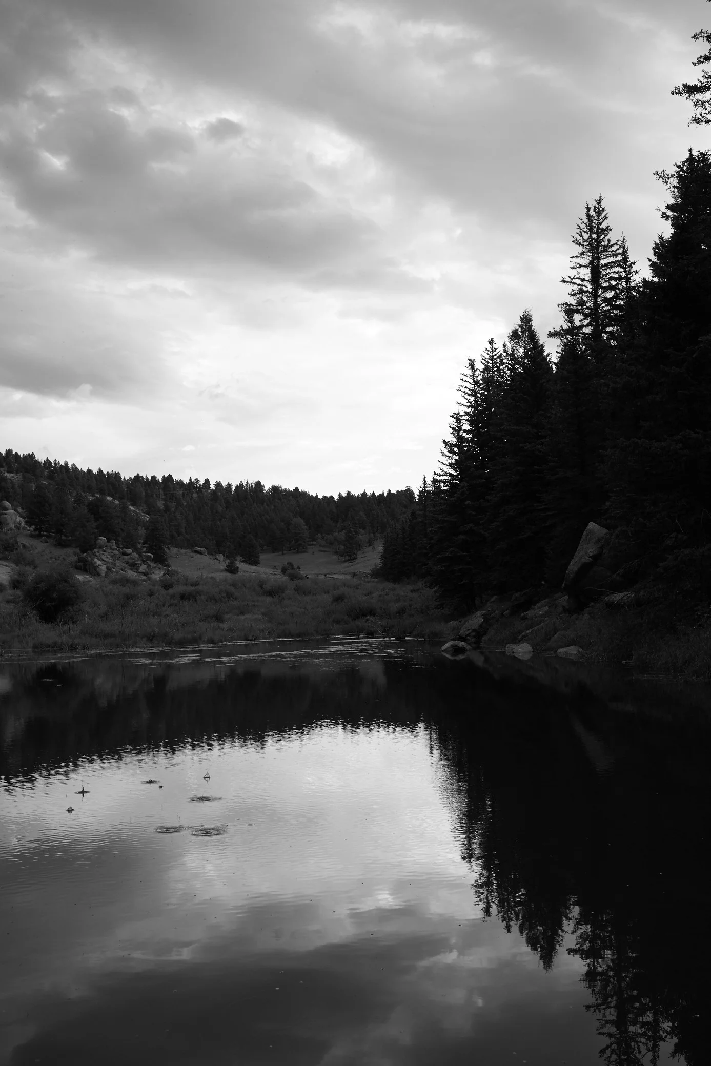 Colorado Cabin 2015 Summer 508.jpg