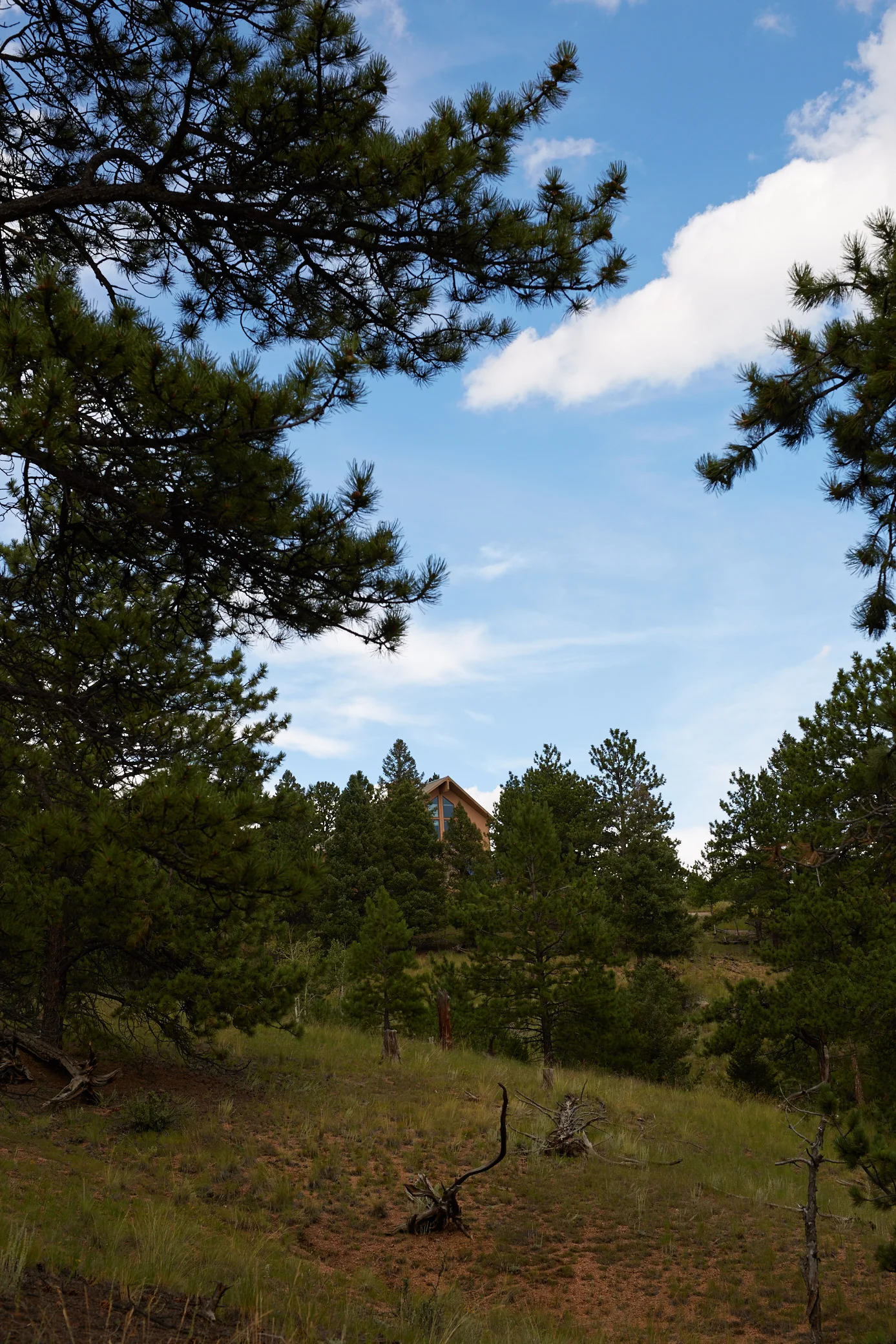 Colorado Cabin 2015 Summer 511.jpg