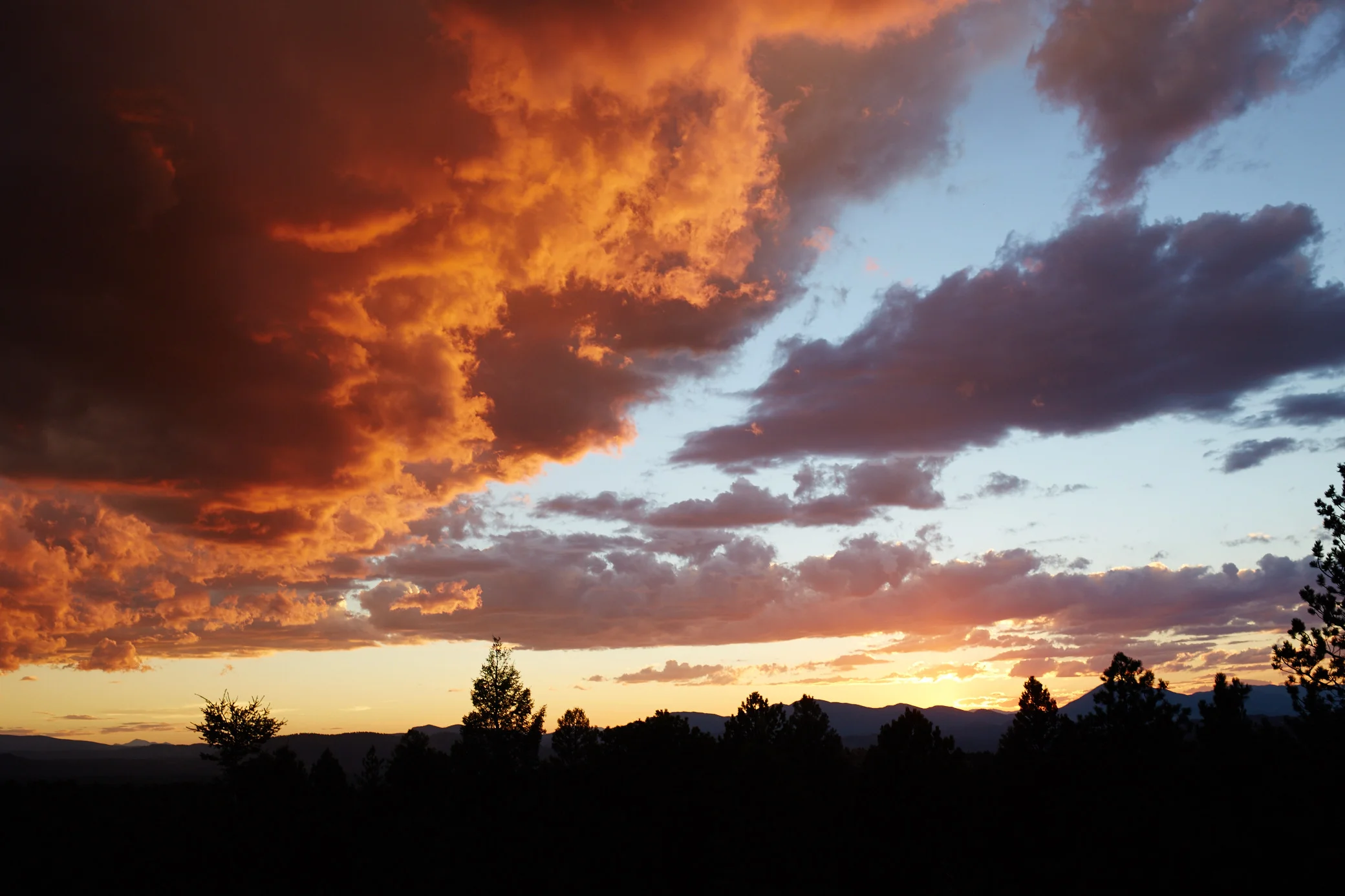Colorado Cabin 2015 Summer 531.jpg