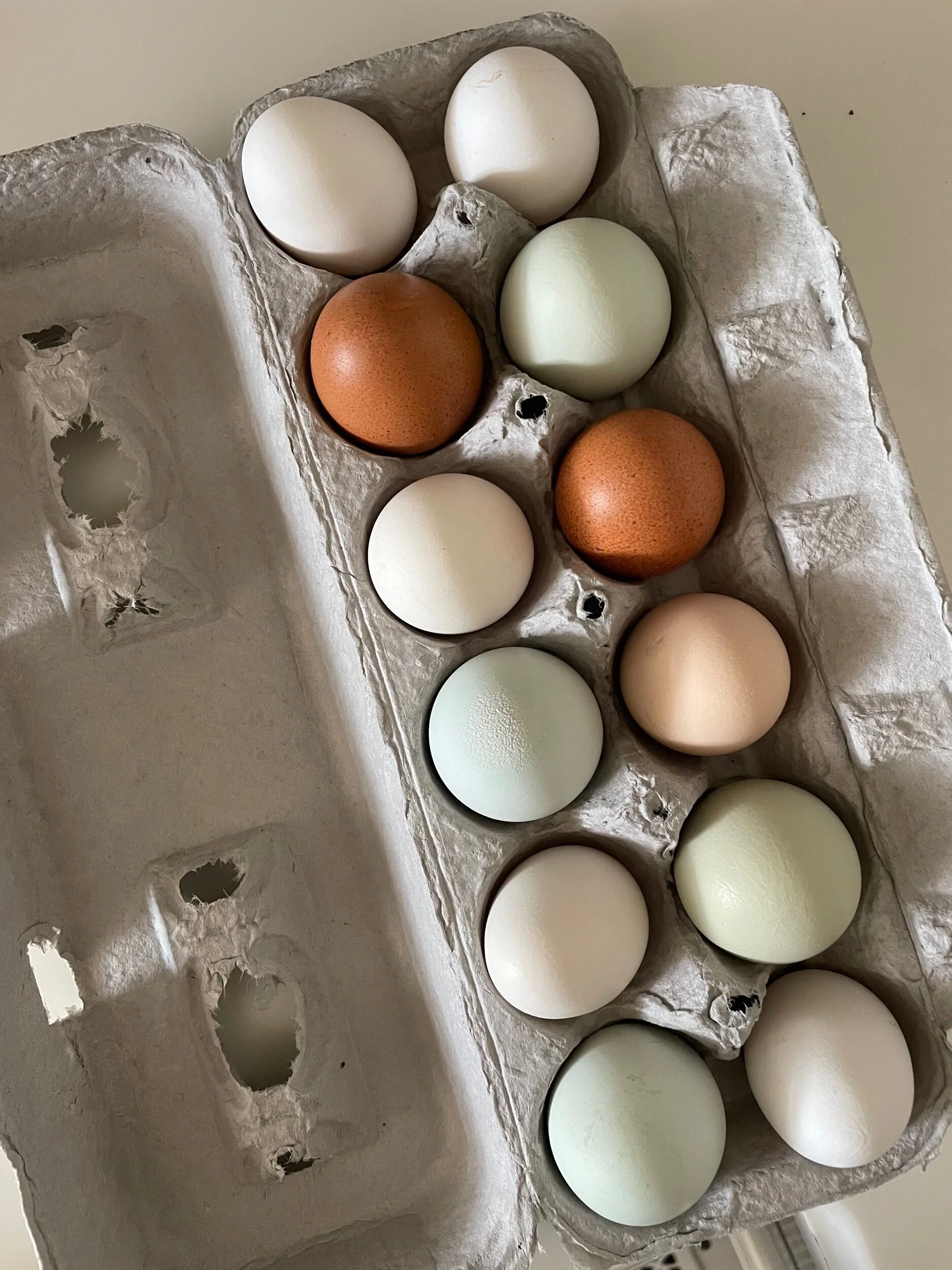 825F98E1-BB63-4C81-9A3F-1A26C6236F3D