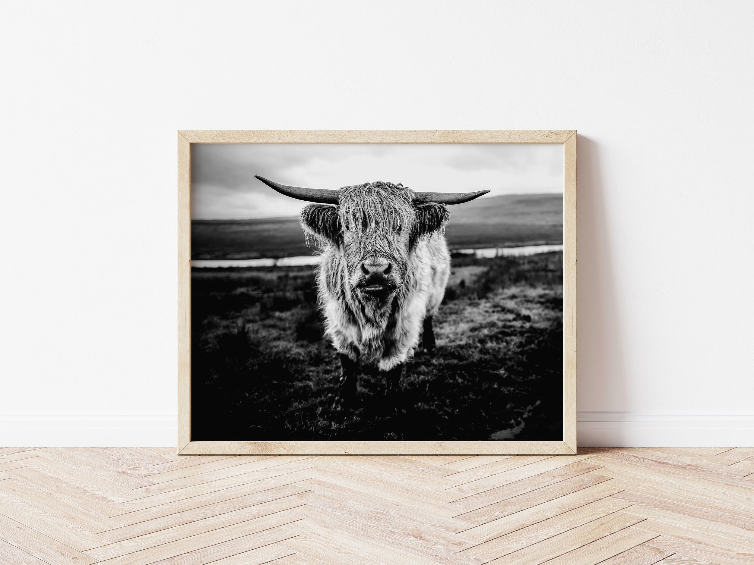 Etsy-HighlandCow1-8x10Bw-frame.jpg