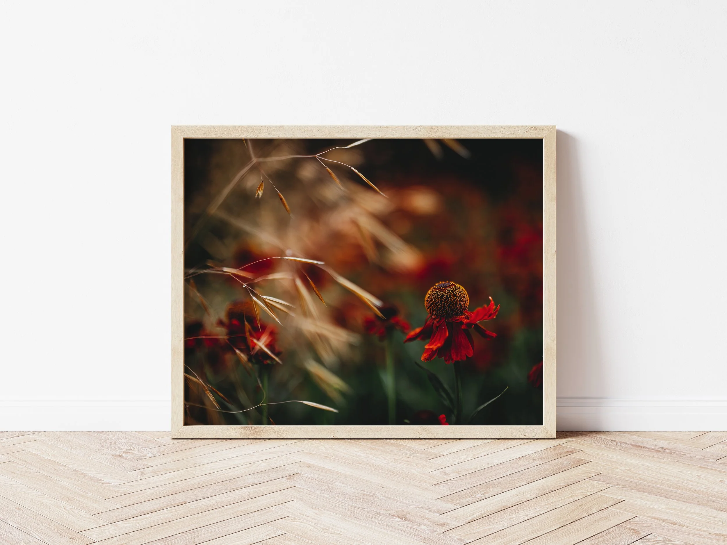 Etsy-Red Flower-WimpoleFrame.jpg