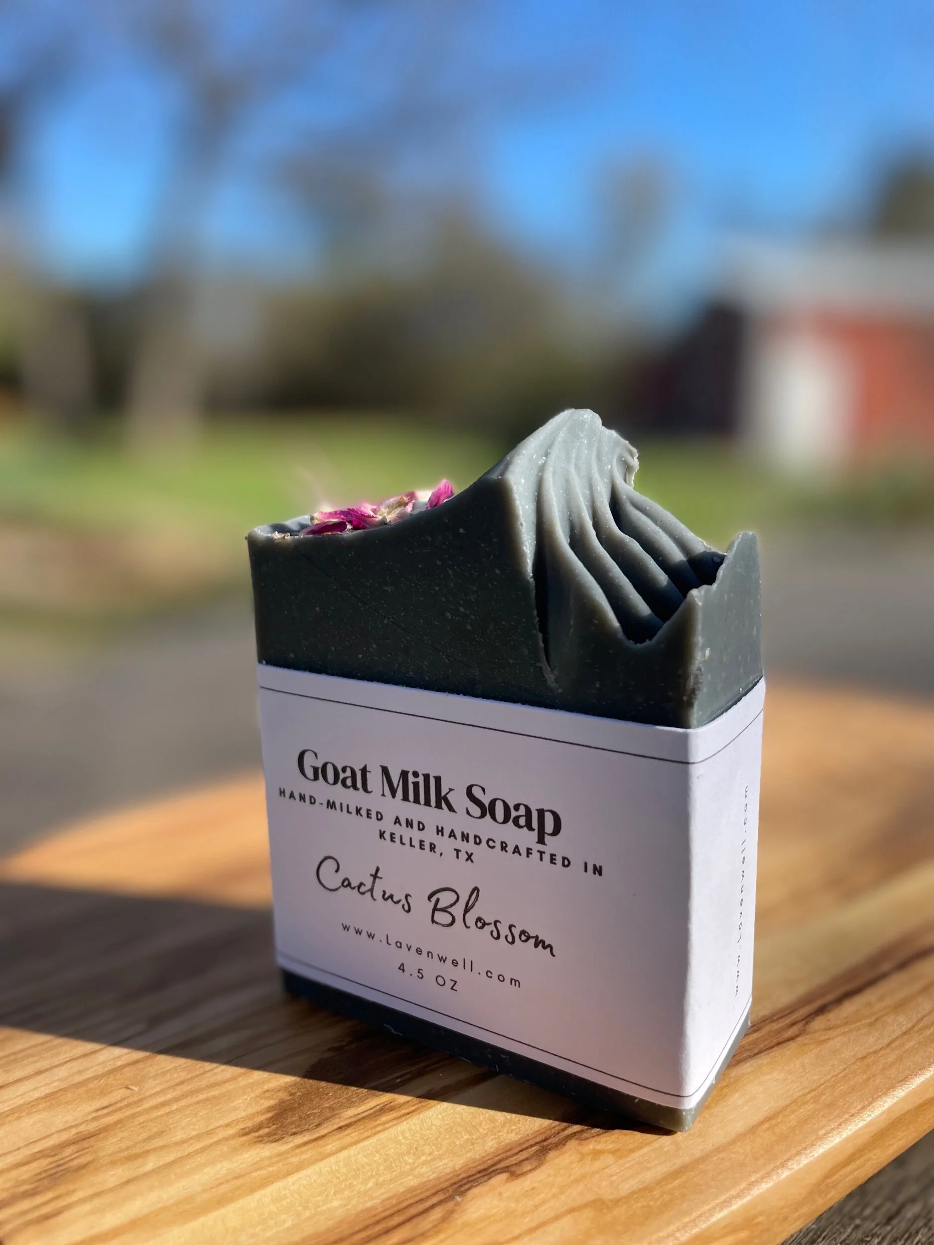 A1C95044-963B-4393-8150-60D6B6509A85