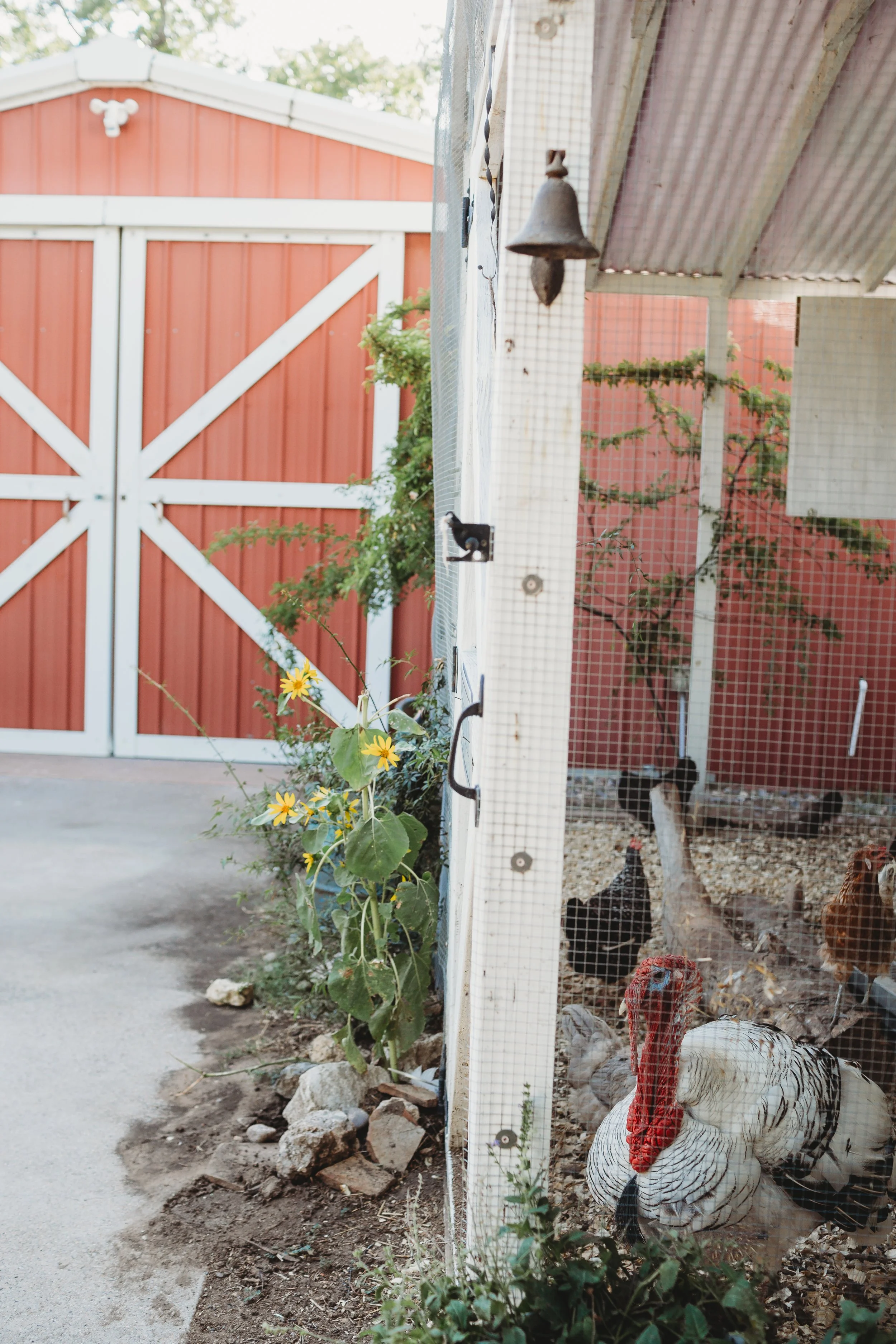 FarmStay-72.jpg