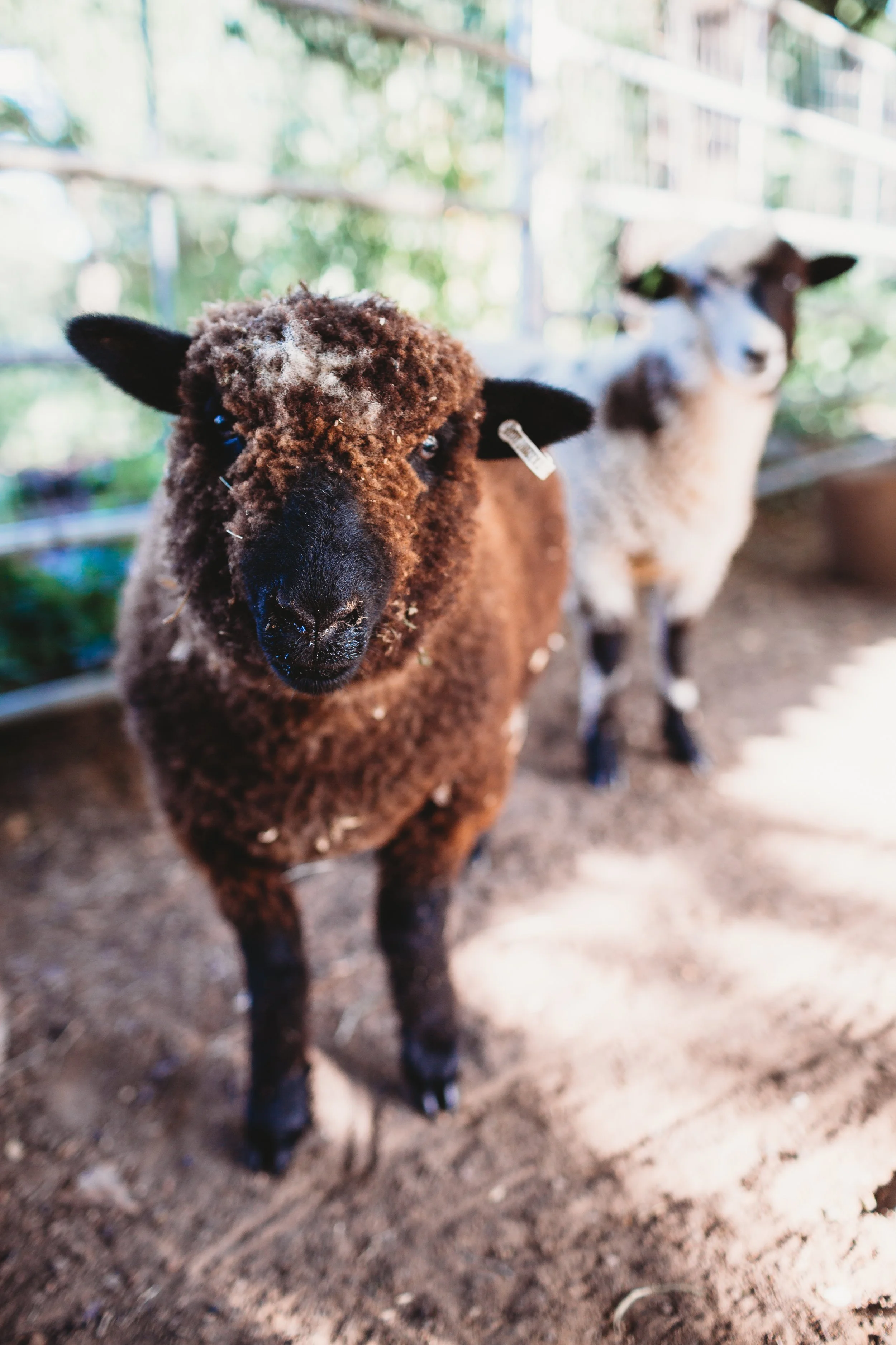 FarmStay-42.jpg