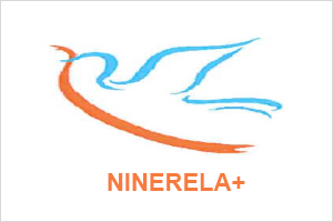 ninerela.png