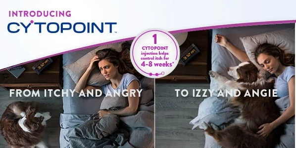 Cytopoint image.jpg