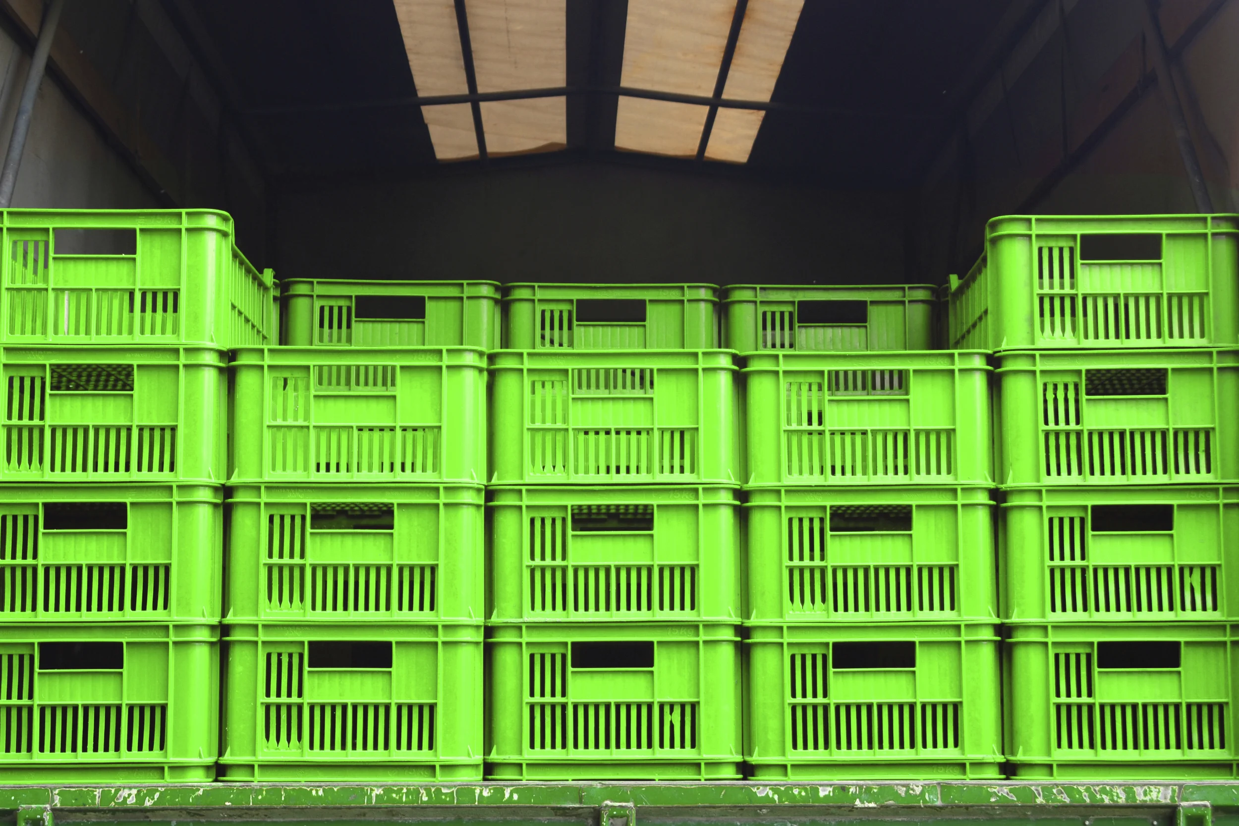 Embracing Sustainability: A Framework For Green Packaging