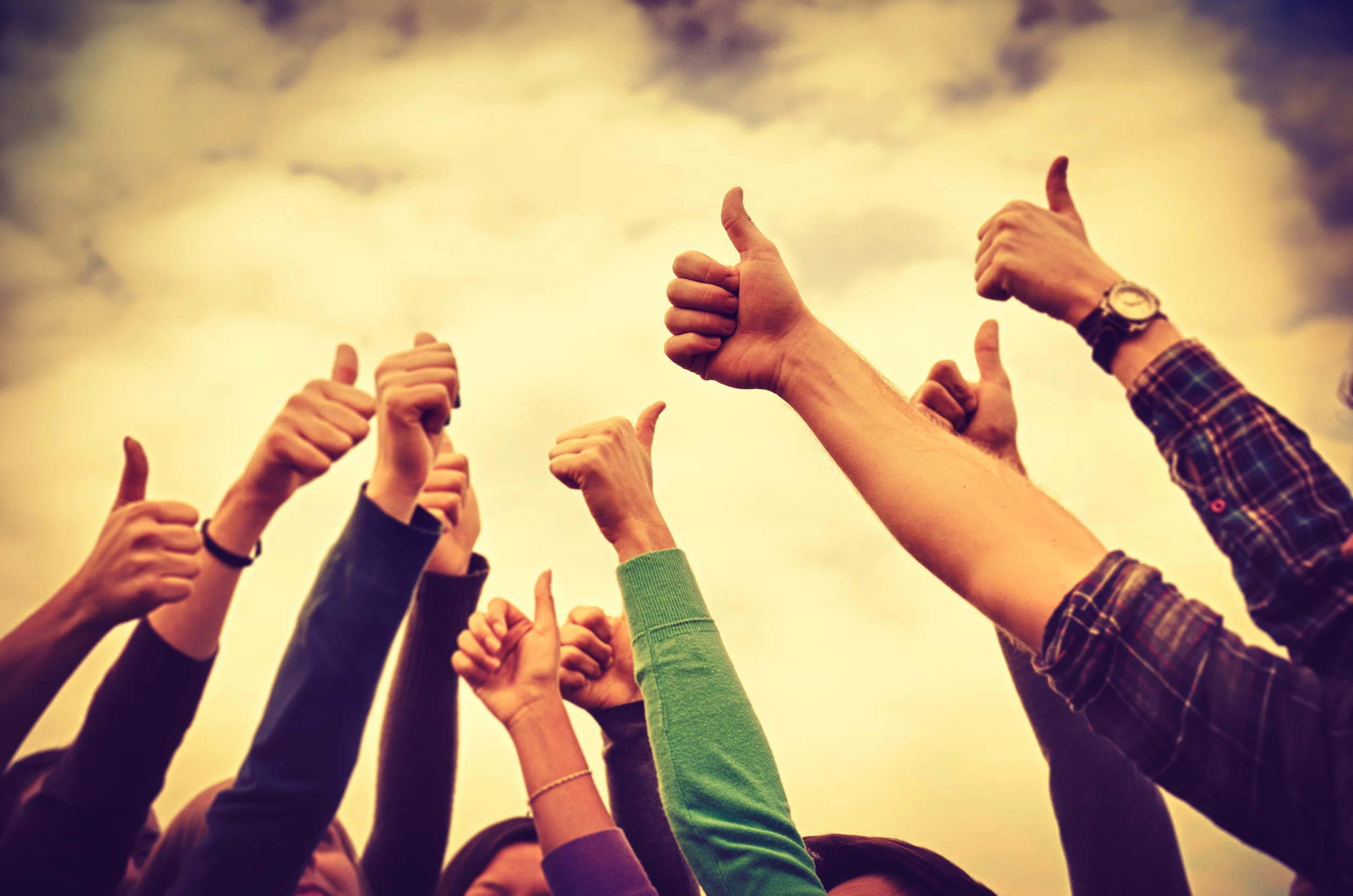 Winning With Customers: Establishing A Customer Focused Organization