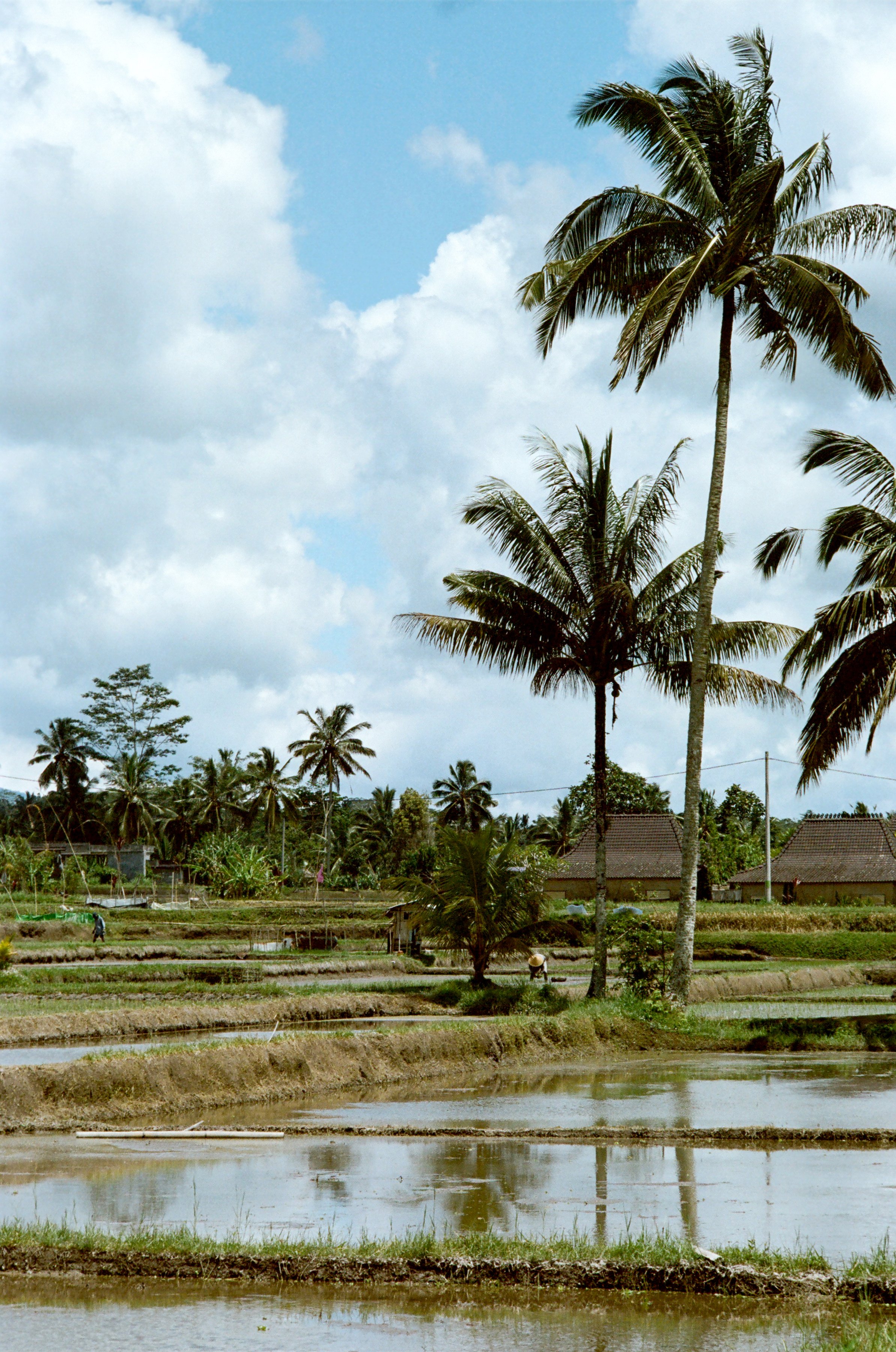 Ubud, Bali