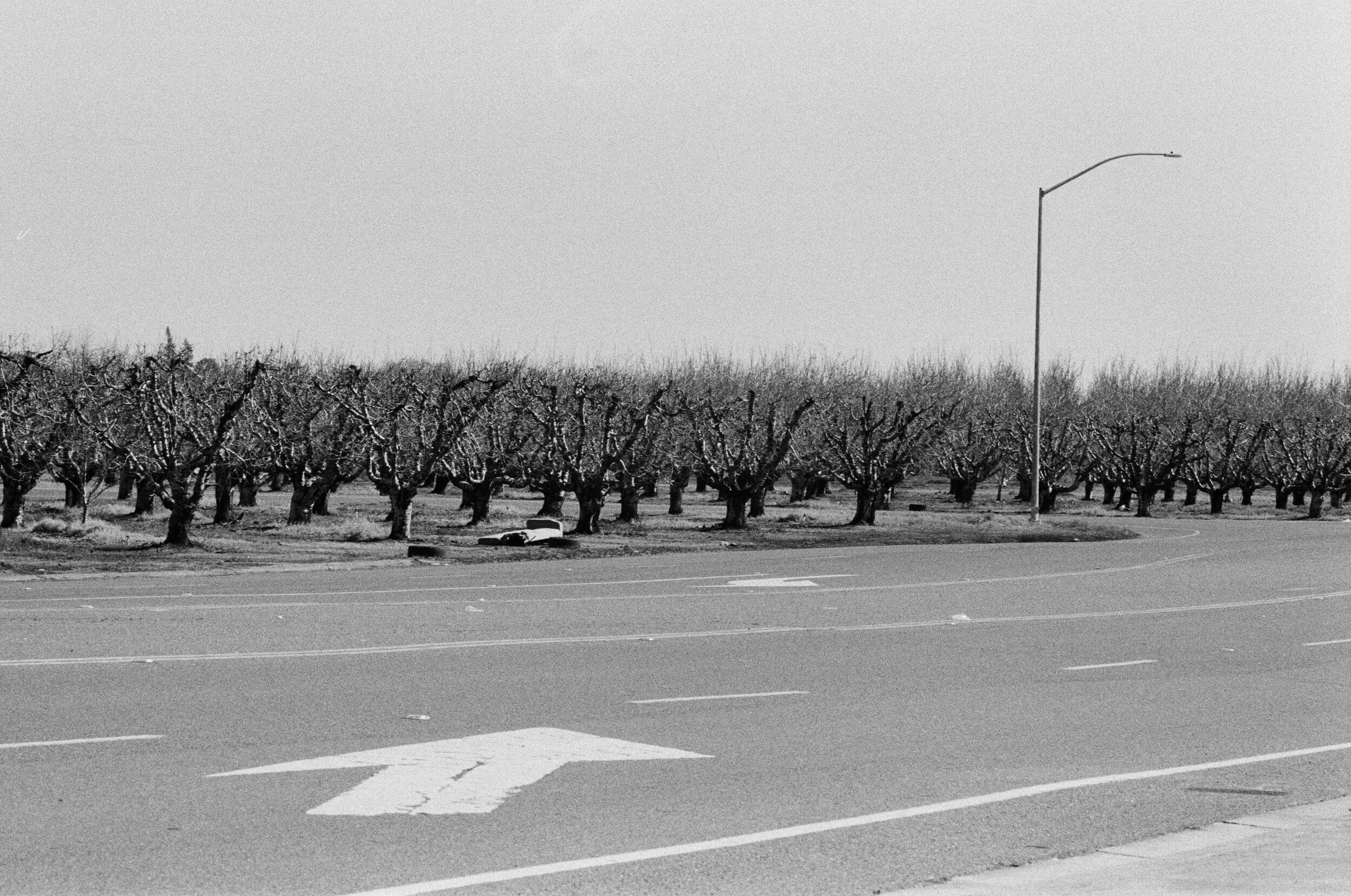 a2zX6EZHy6o1S080M1qi8LcILg4PccMU-IgMiTxwV14