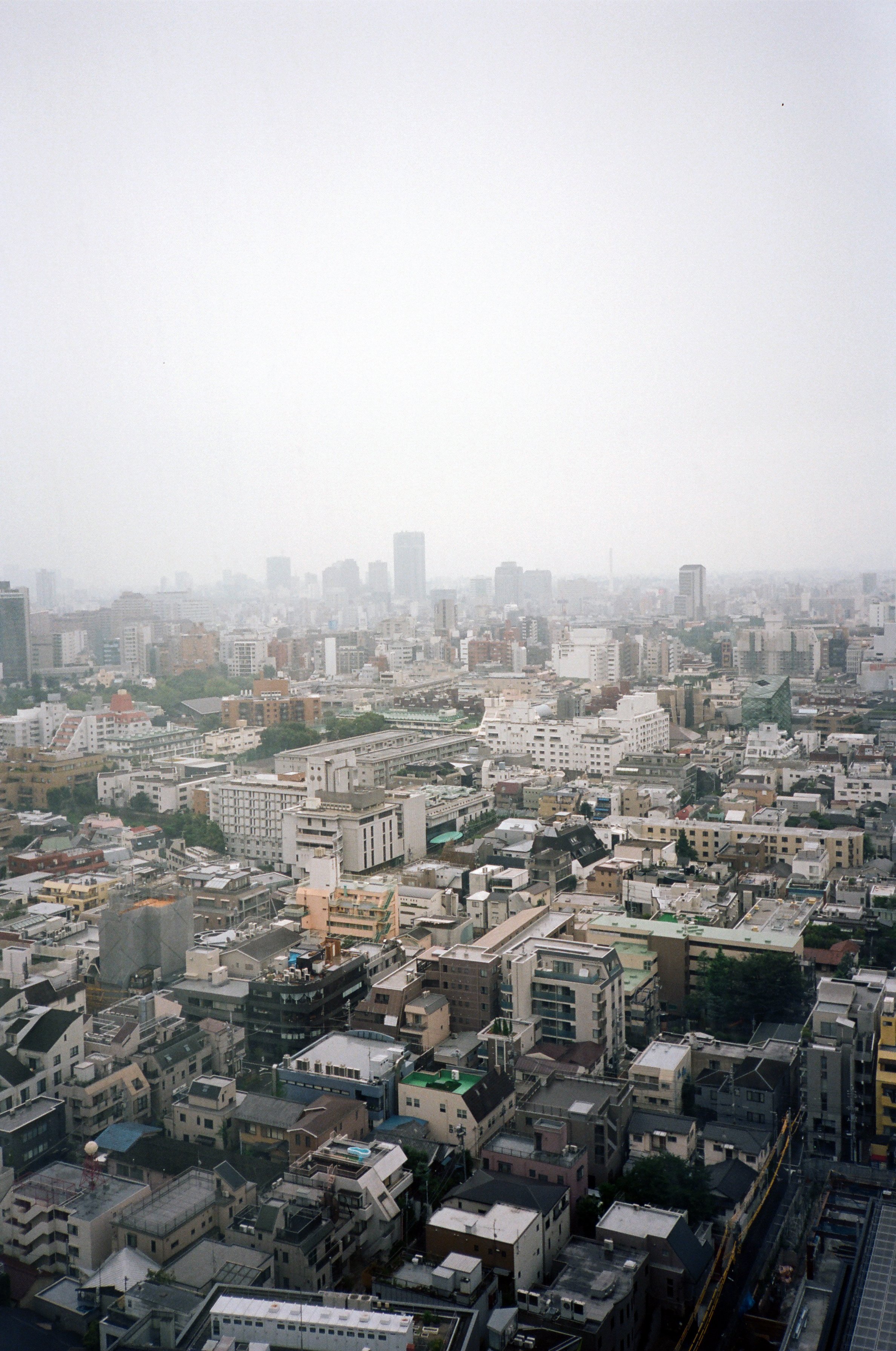 11030028.JPG
