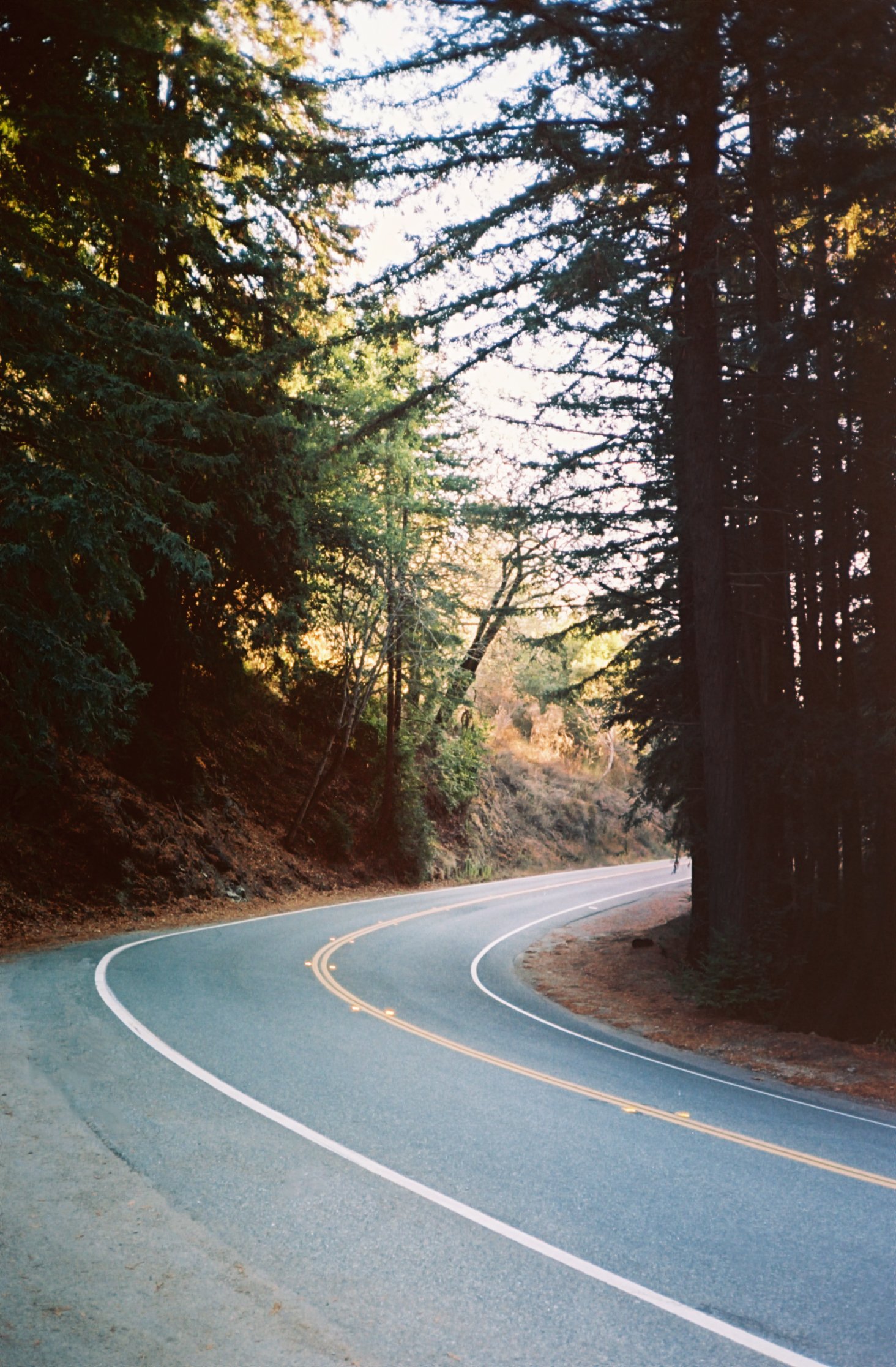 i-D Magazine / Big Sur, CA