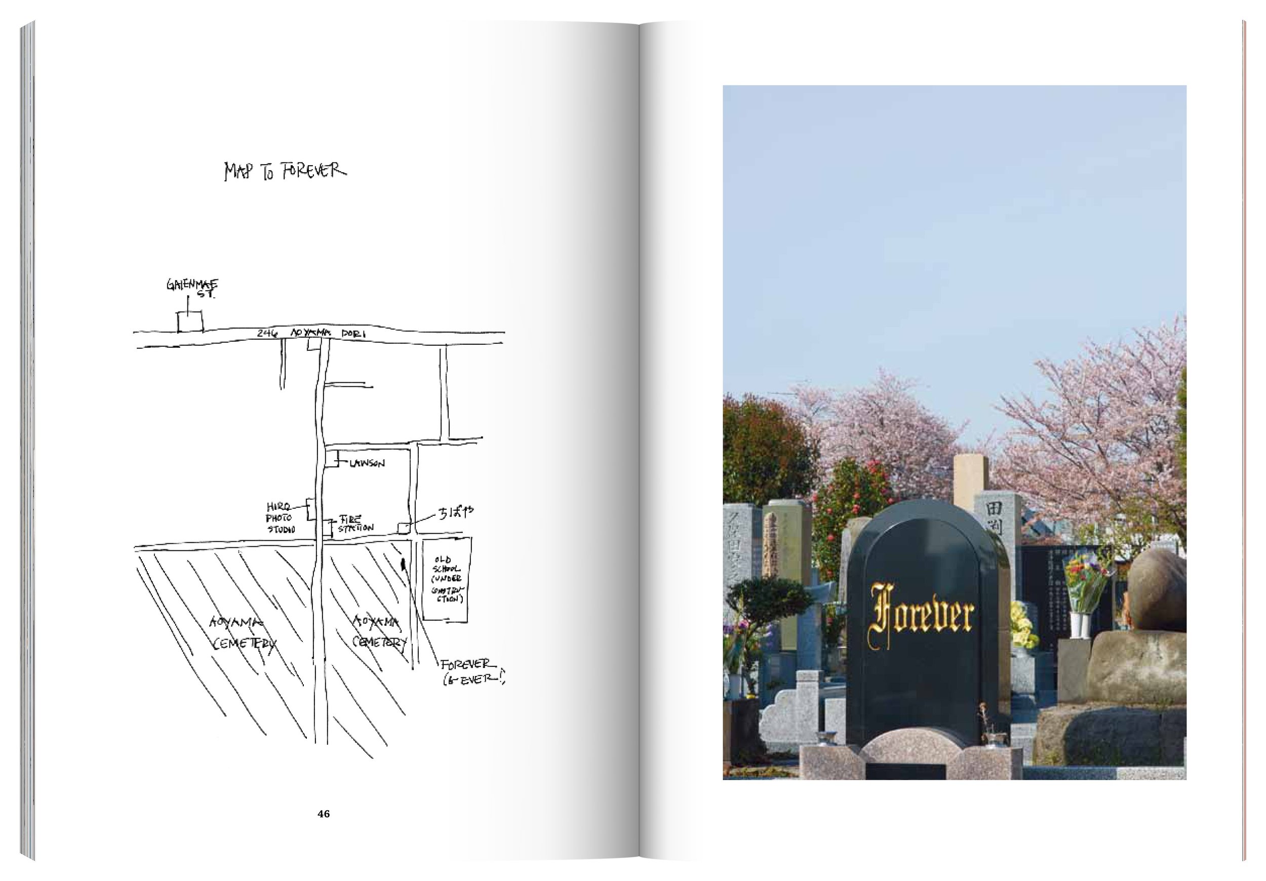 Ami_Final_single_pages_spread_59.jpg